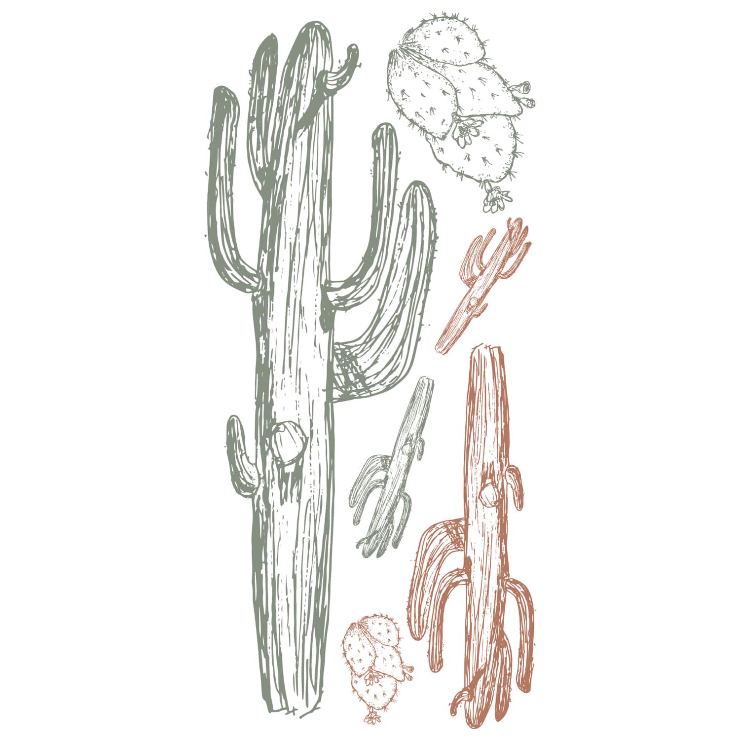 RoomMates Mr. Kate Hand-Drawn Cactus Peel & Stick Wall Decals