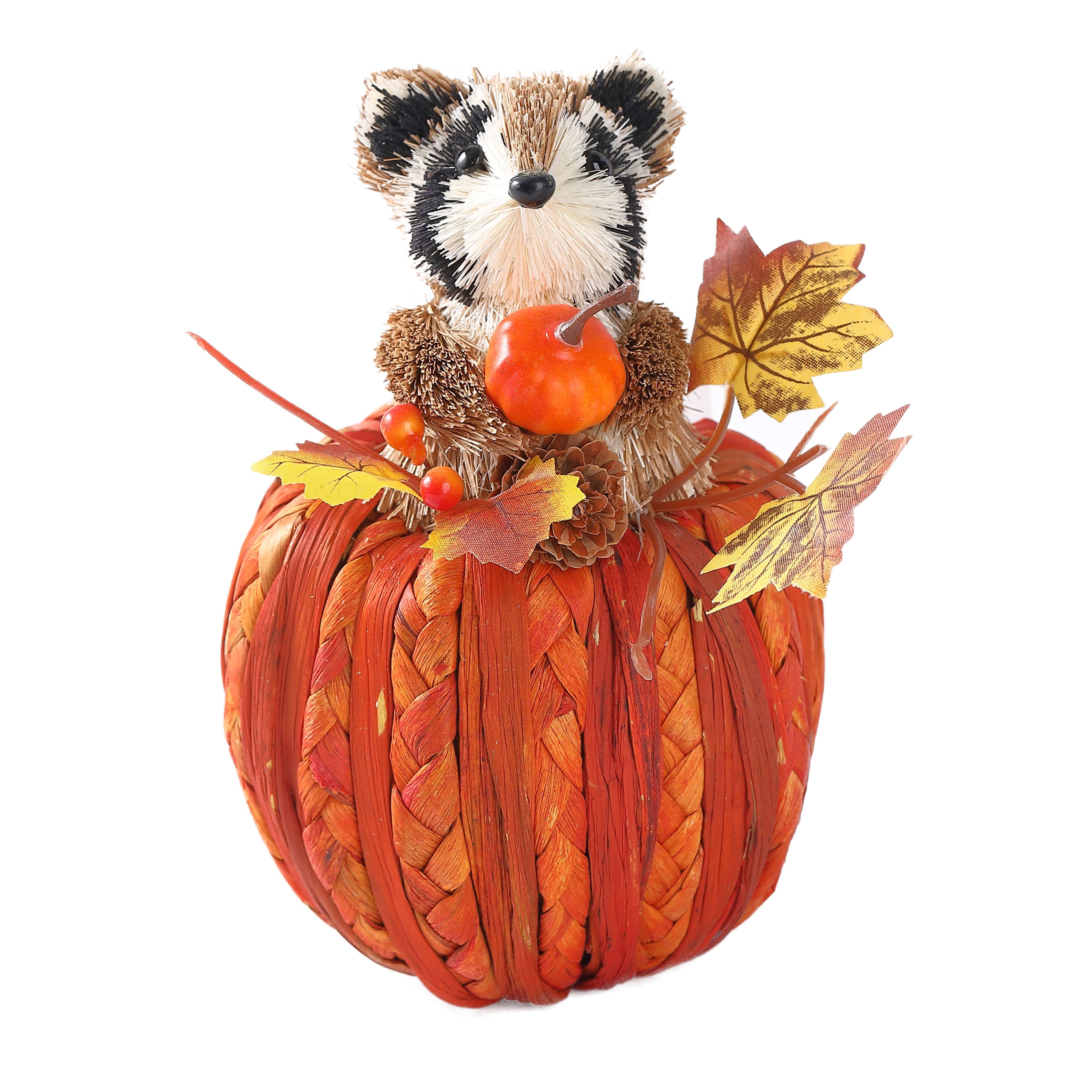 7&#x22; Raccoon on Pumpkin by Ashland&#xAE;