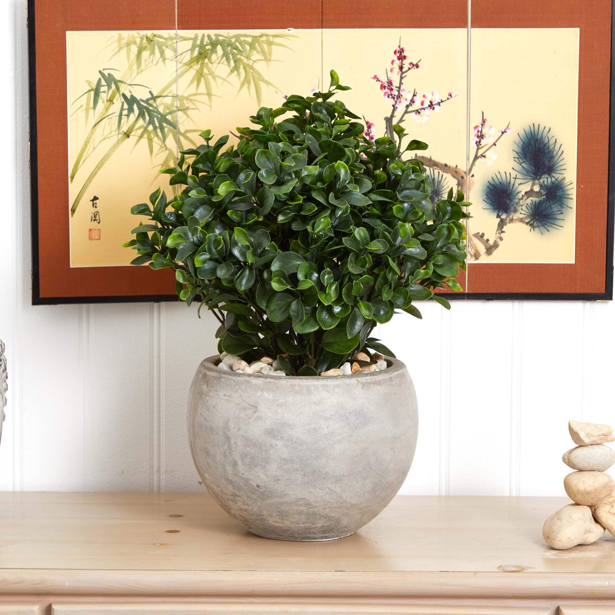 2ft. Eucalyptus Plant in Sand Colored Bowl