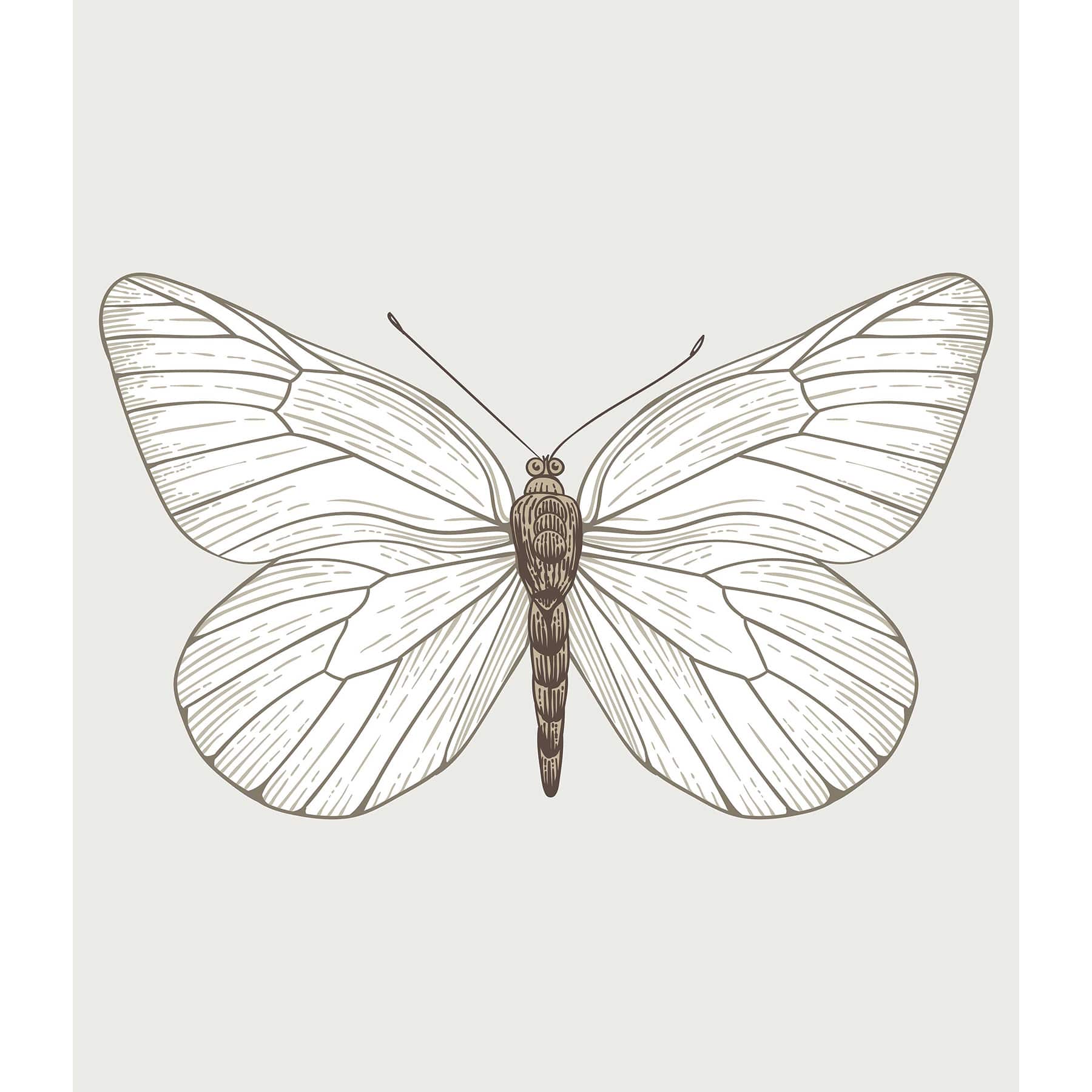 RoomMates White Butterfly Tapestry