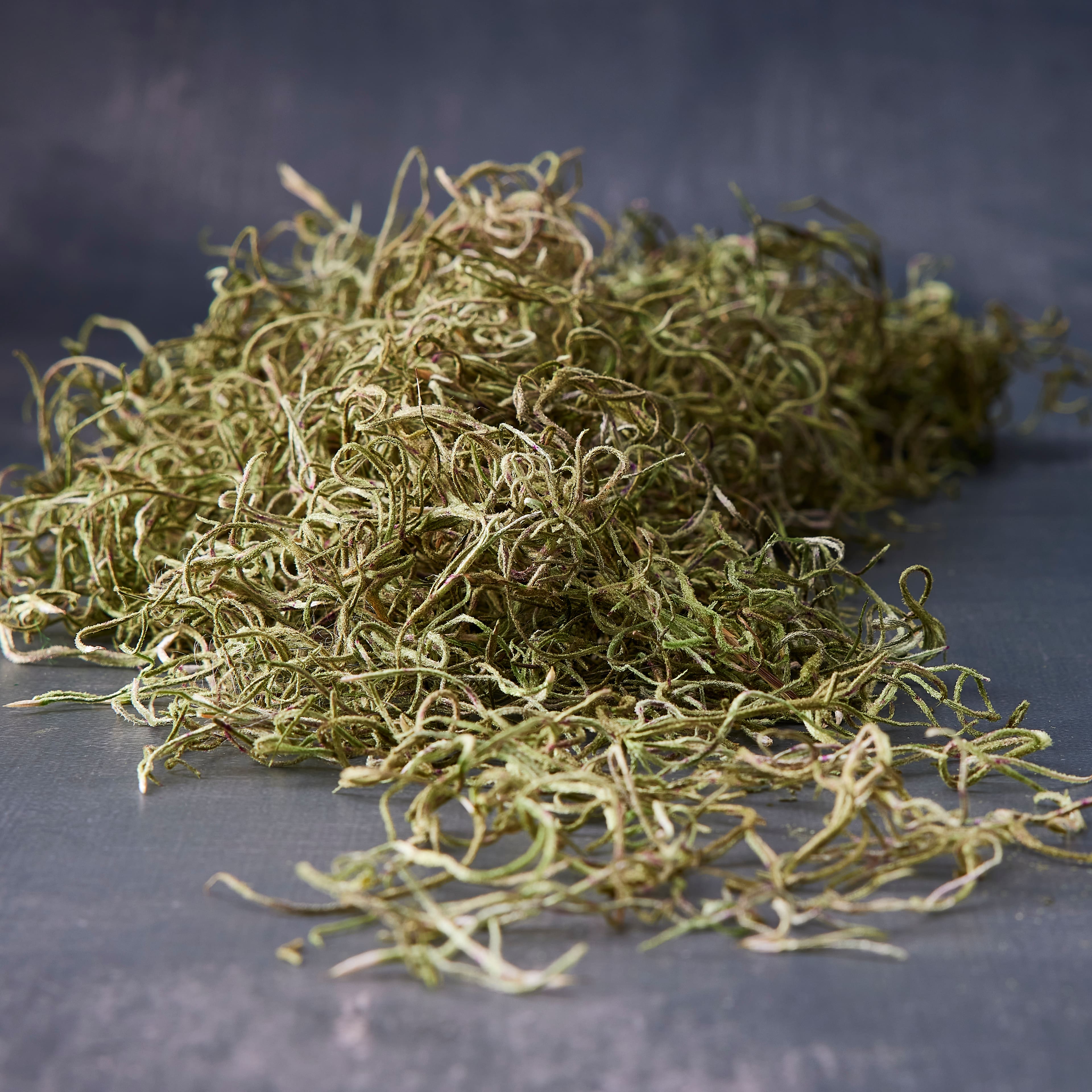24 Pack: Basil Green Spanish Moss by Ashland®