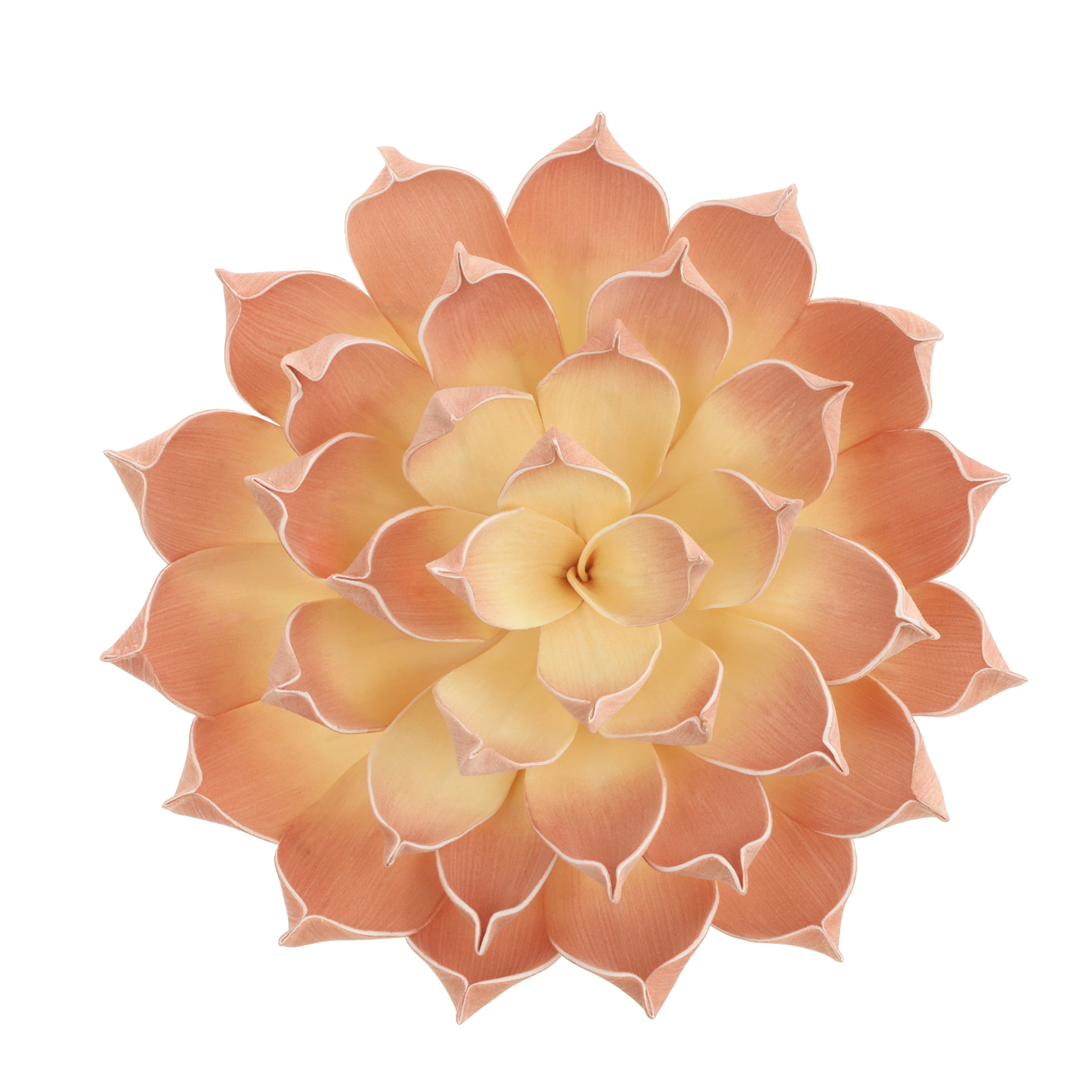 12.5&#x22; Peach Decorative Succulent by Ashland&#xAE;