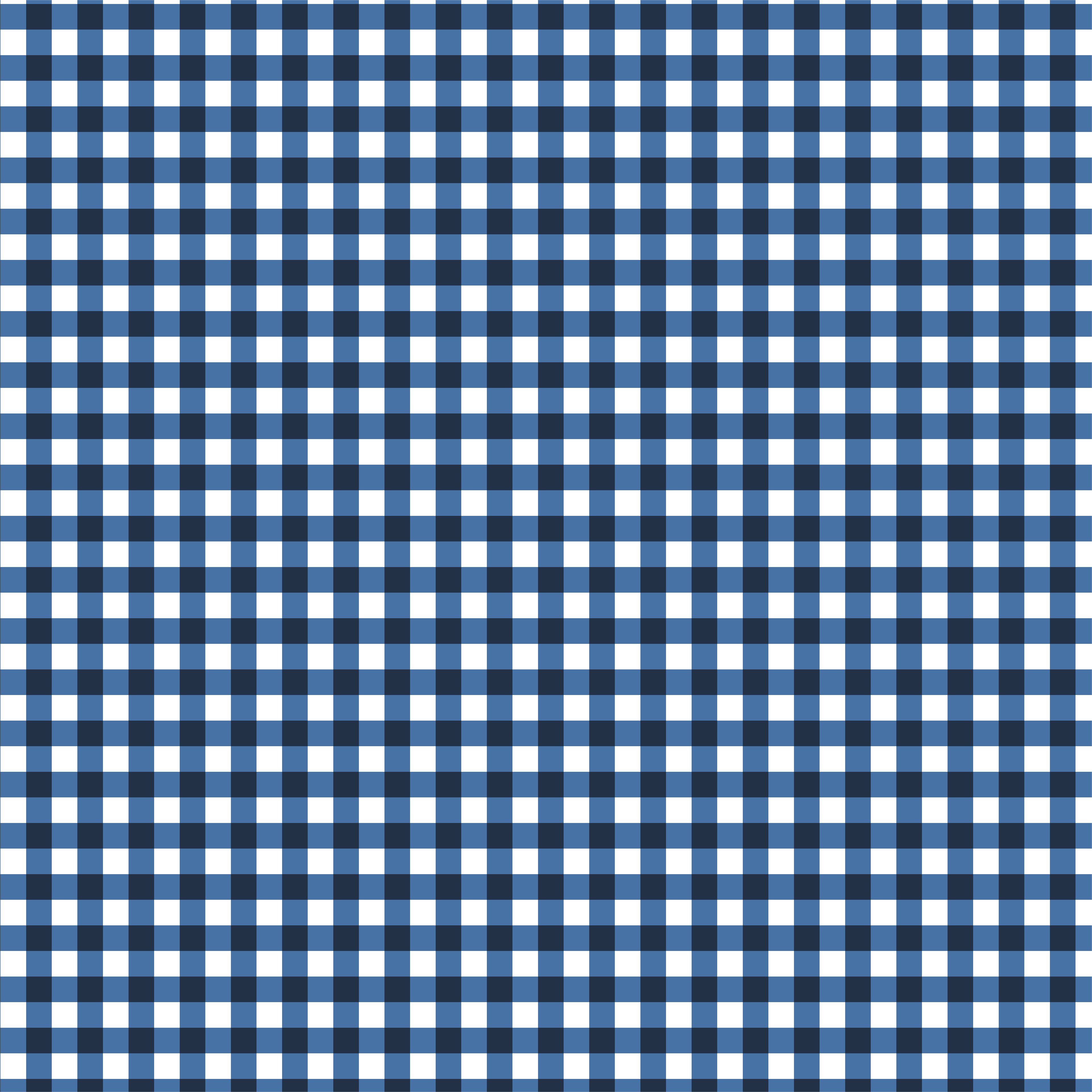 Gingham Print Craft Fabric