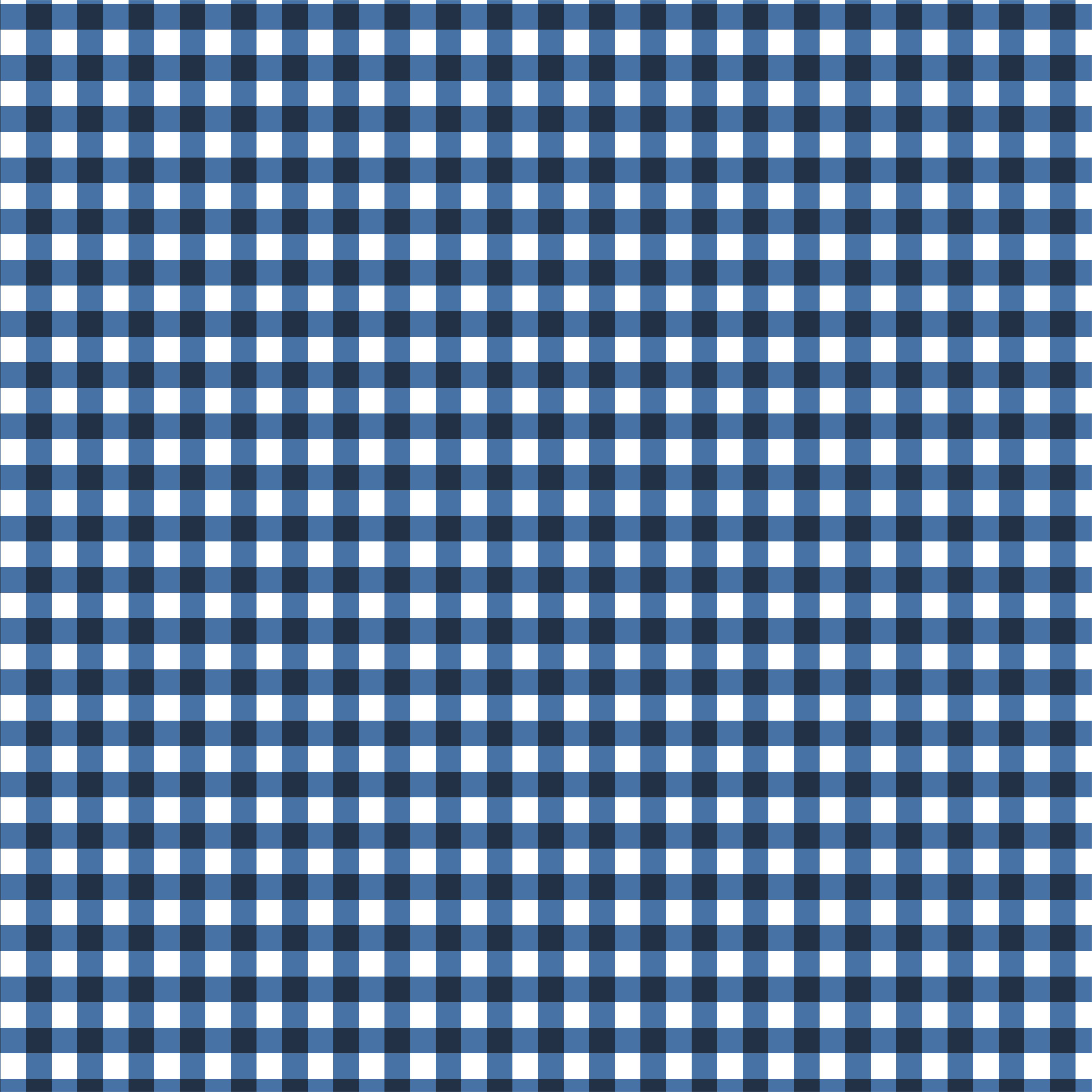 Eugene Textiles Gingham Print Craft Fabric