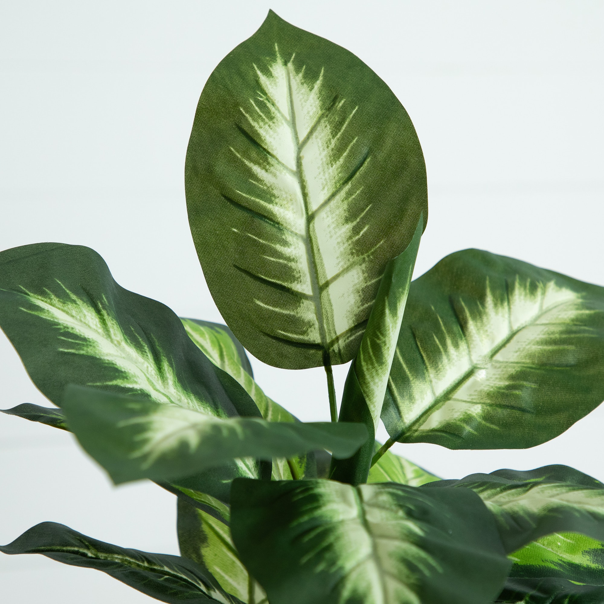 20" Artificial Golden Dieffenbachia Plant, 6ct.