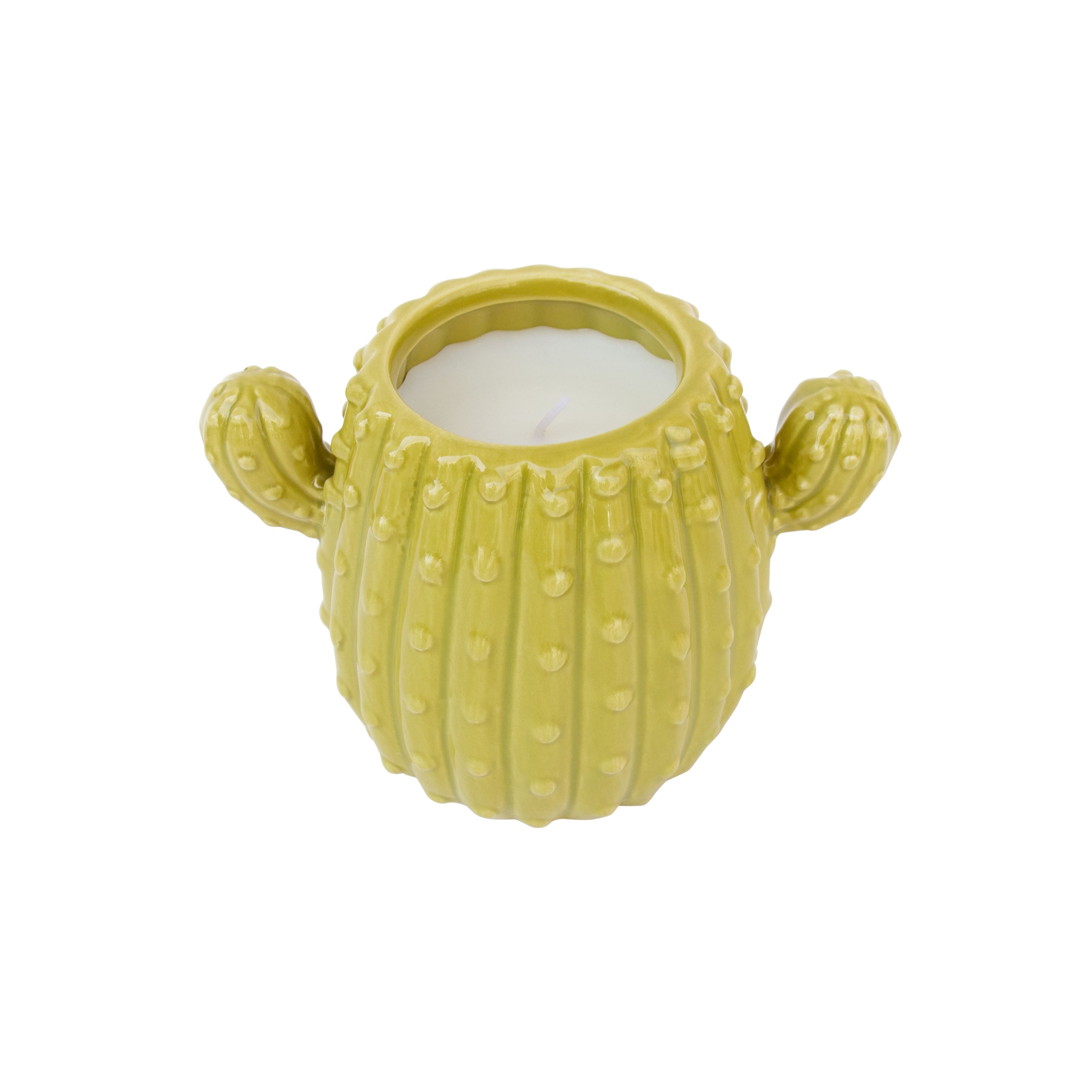 Santal Woods Scented Cactus Candle by Ashland&#xAE;
