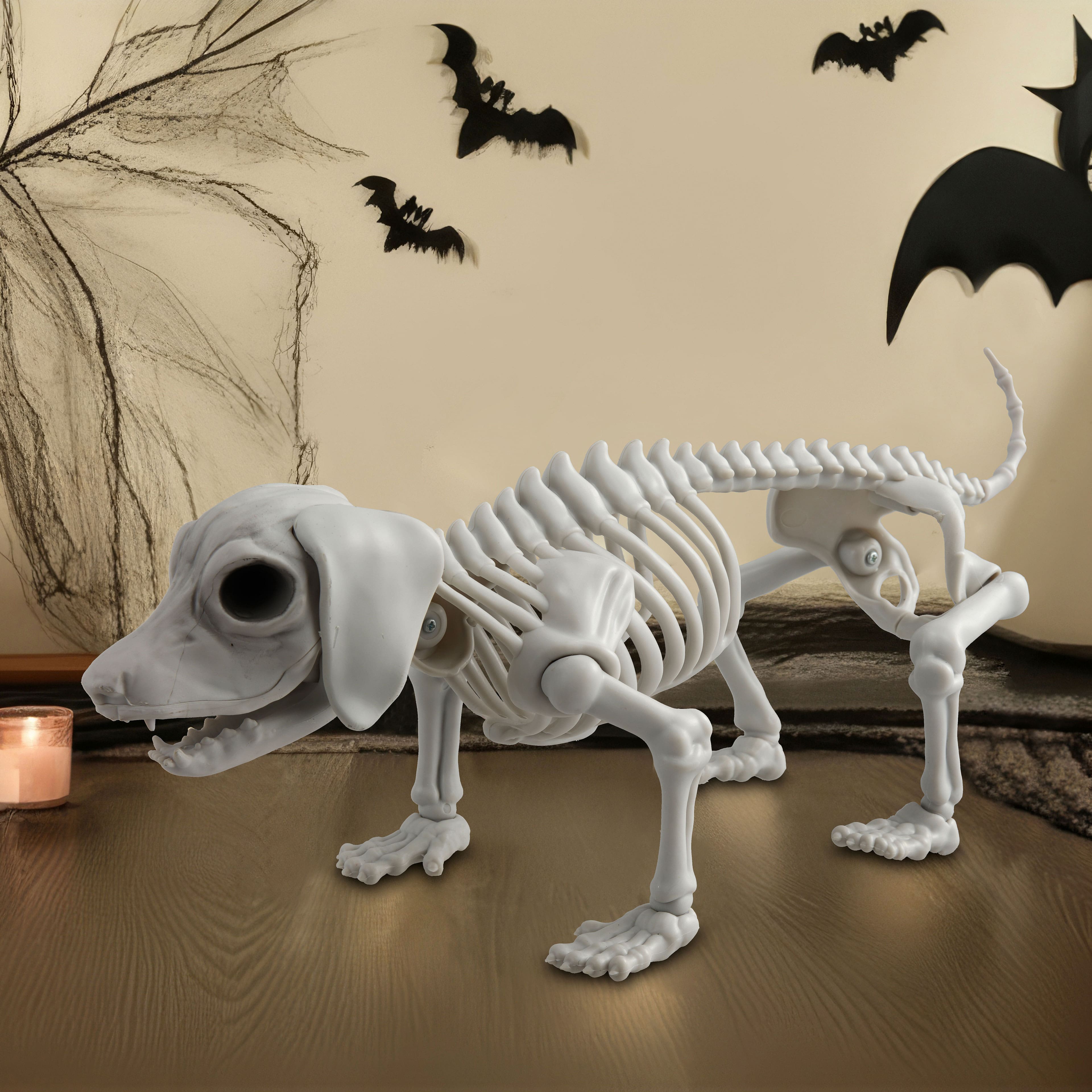 12.5&#x22; Dog Skeleton by Ashland&#xAE;