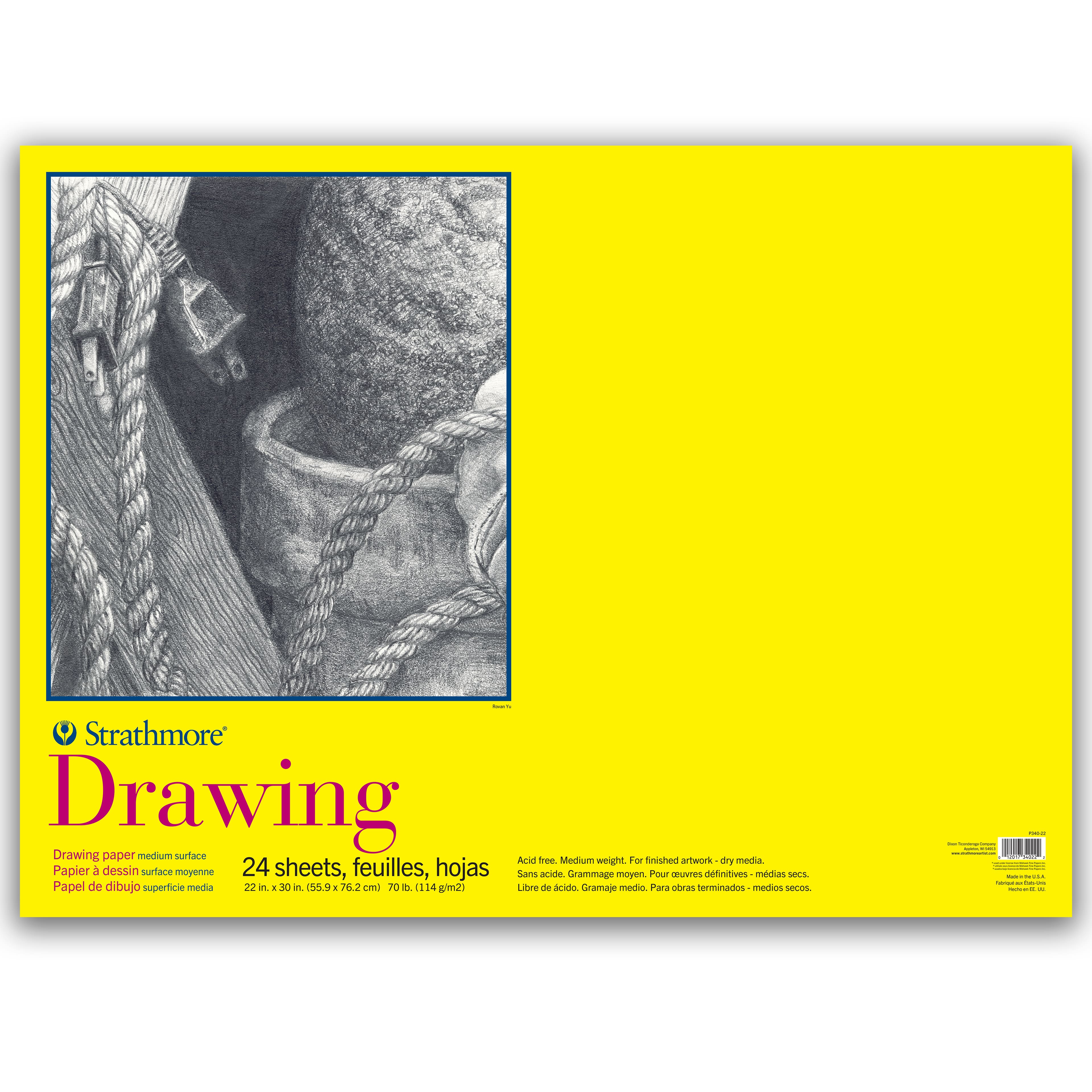 6 Pack: Strathmore® 300 Series Drawing Paper Pad, 22" x 30"