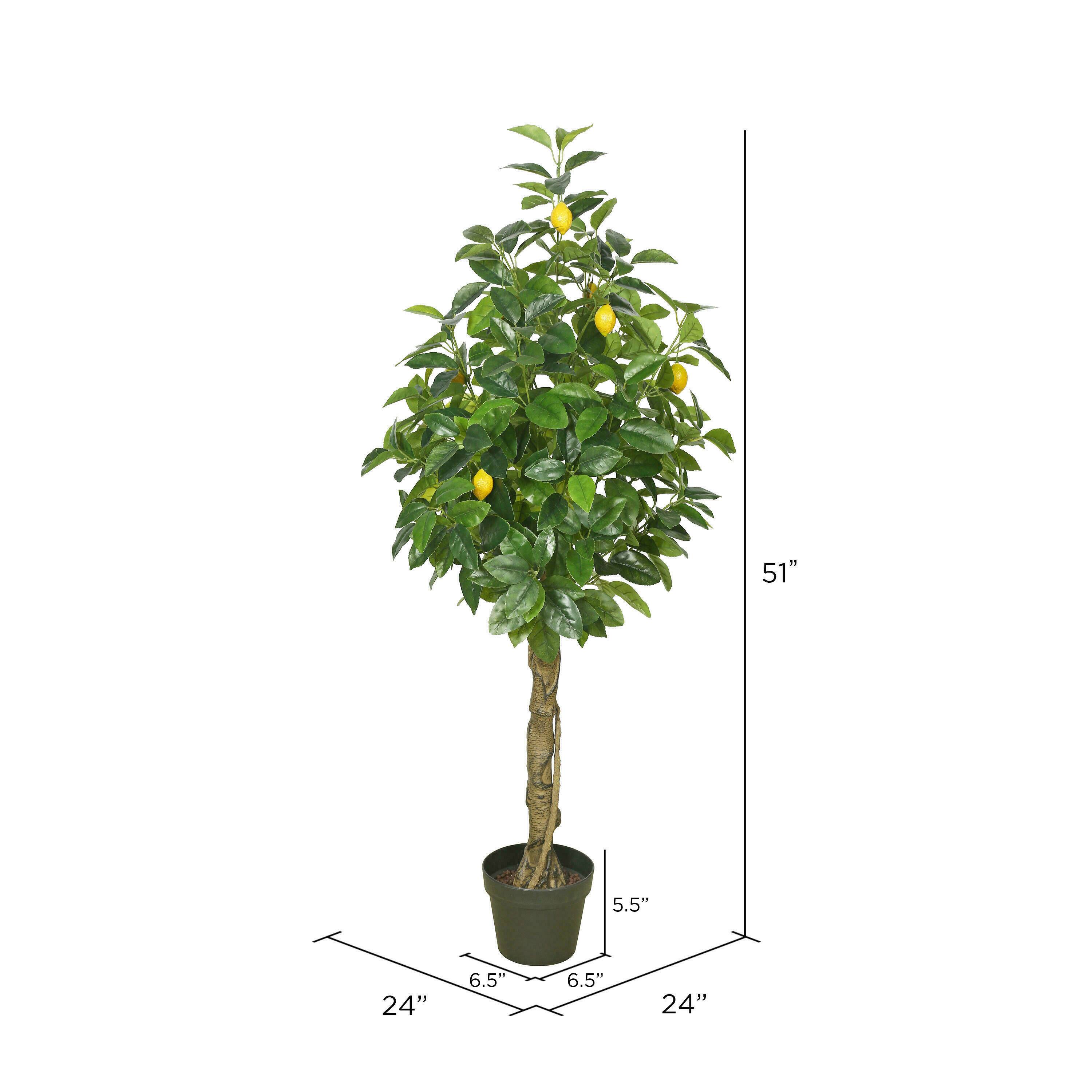4ft. Potted Lemon Tree