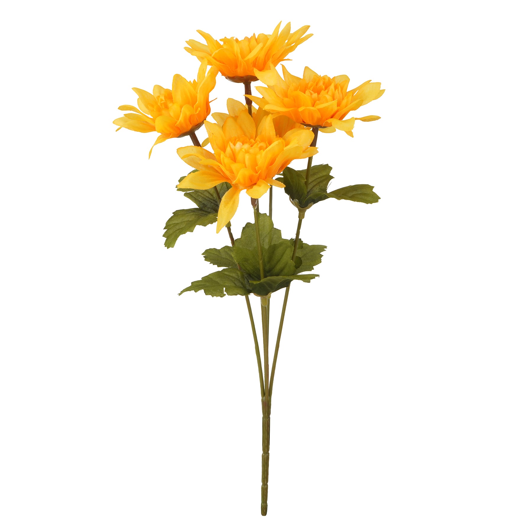 12" Dahlia Bush by Ashland®