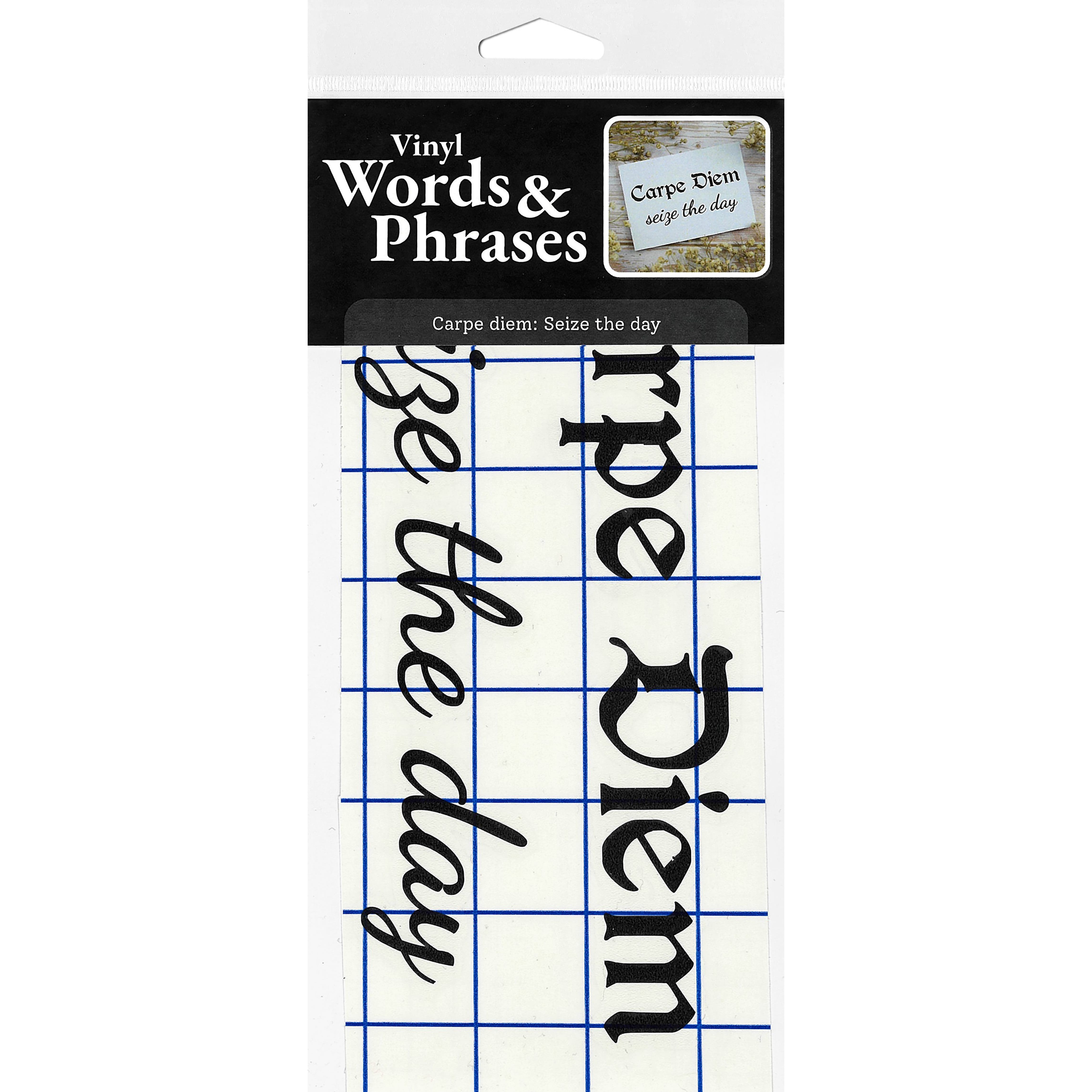 Leisure Arts® Vinyl Carpe Diem Seize The Day Black Wall Decal