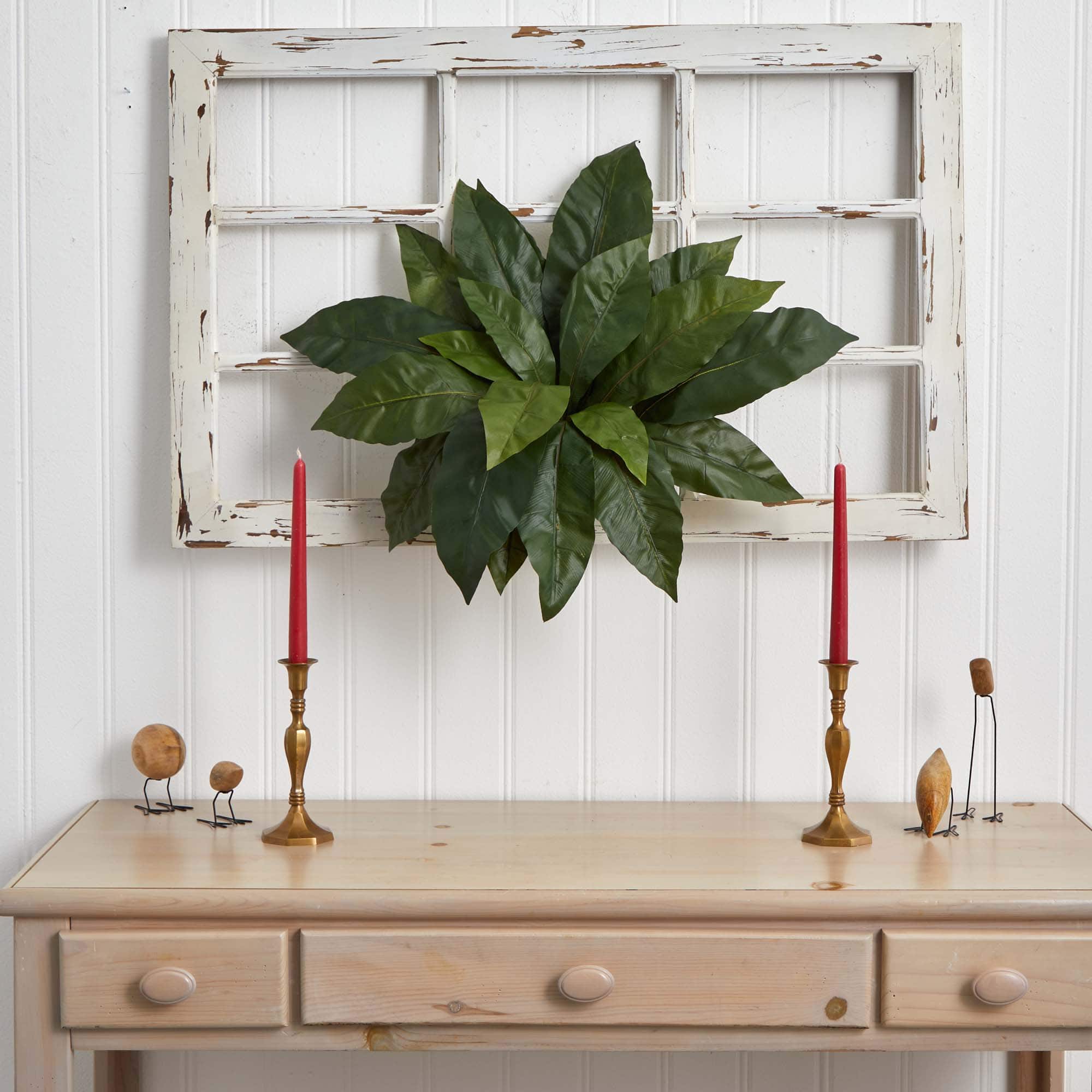 22" Bird's Nest Fern Plant, 3ct.