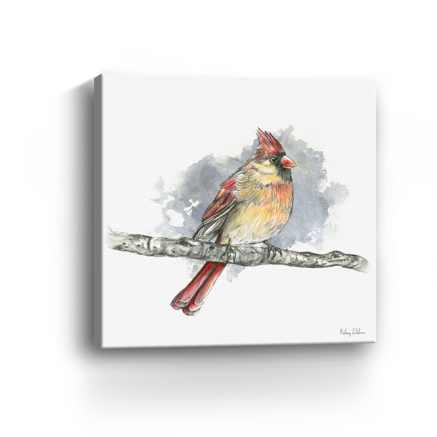 Birds Branches II Female Cardinal Canvas Giclee