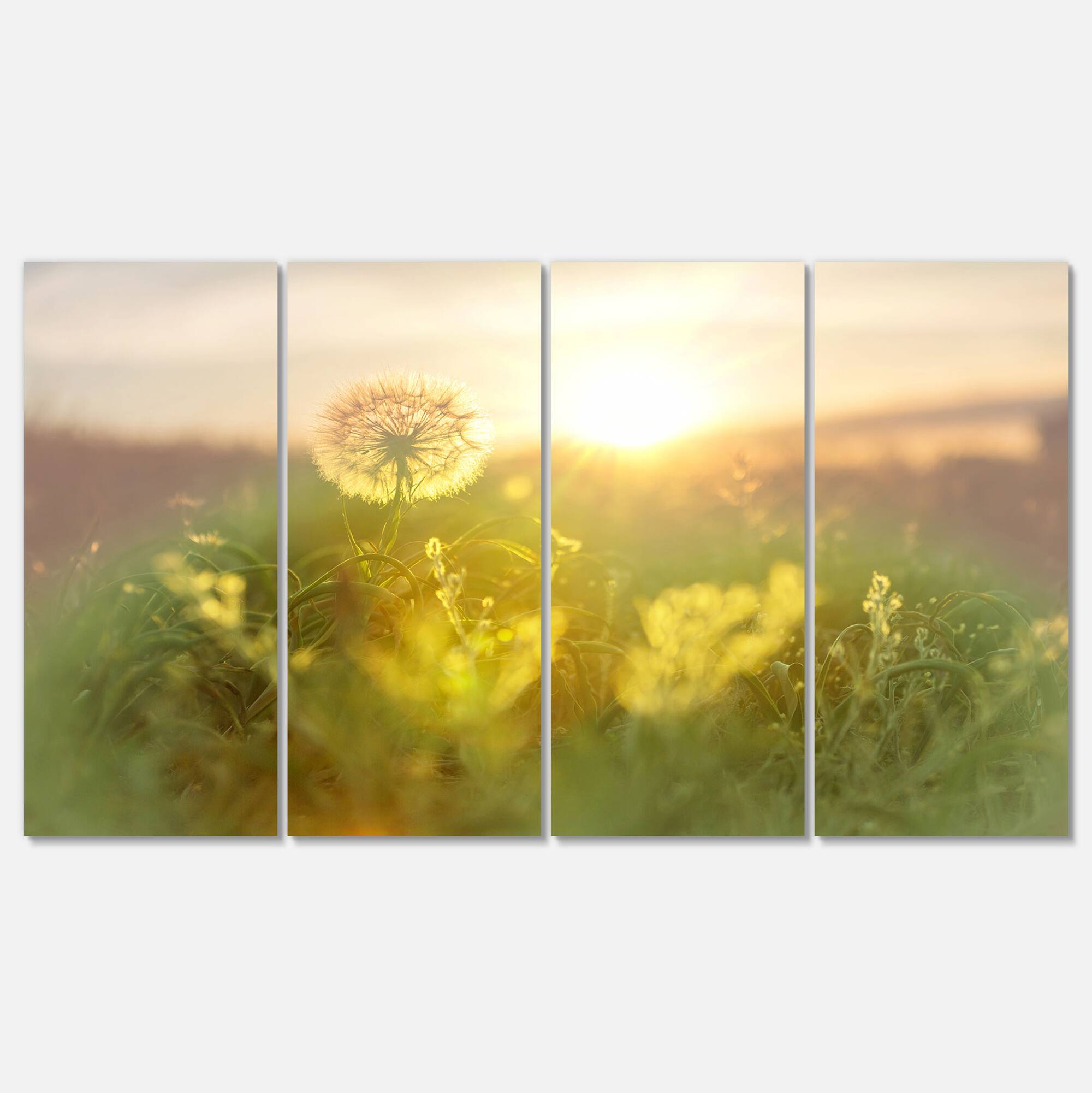 Designart - Dandelion Blooming Flower in Field