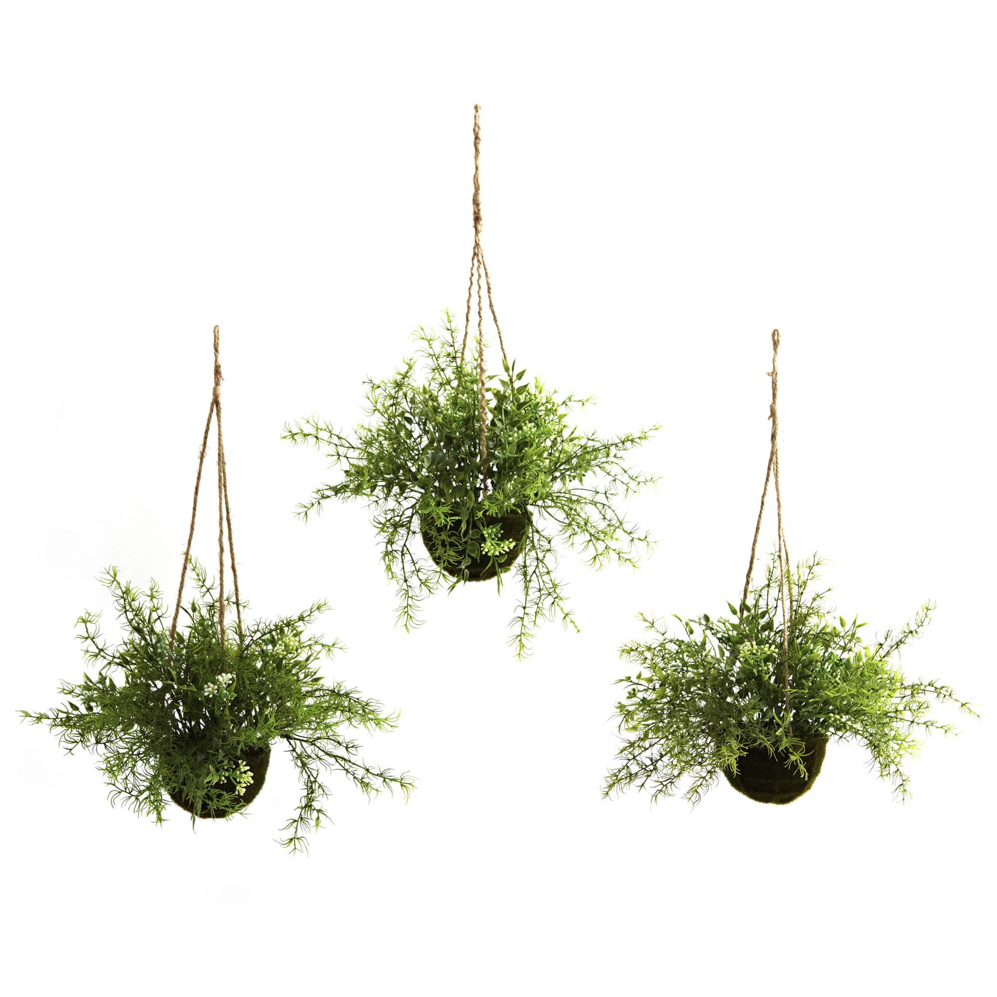 9&#x27;&#x27; Mini Ruscus, Sedum &#x26; Asparagus Fern Hanging Basket, 3ct.