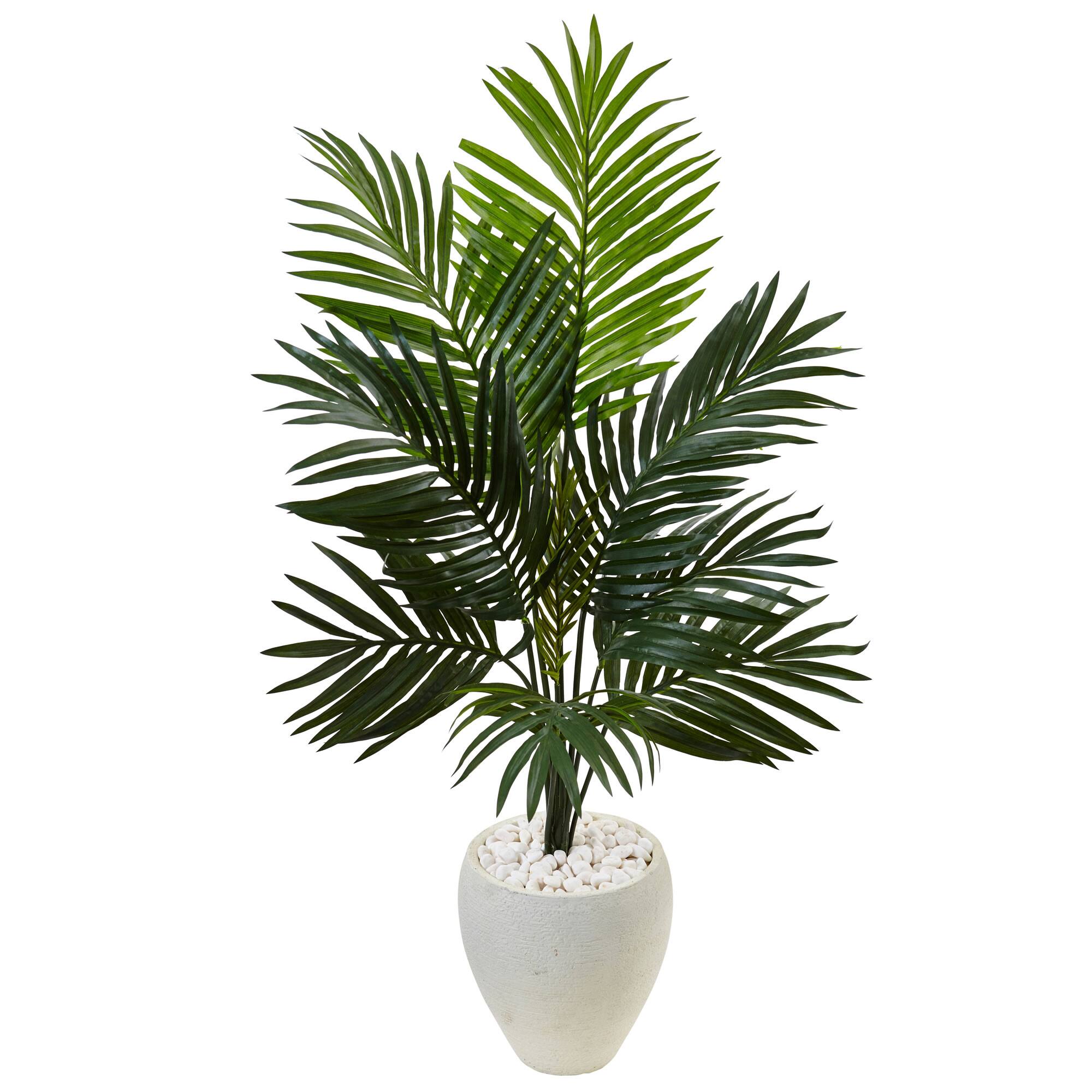 4.5ft. Kentia Palm Tree in White Oval Planter