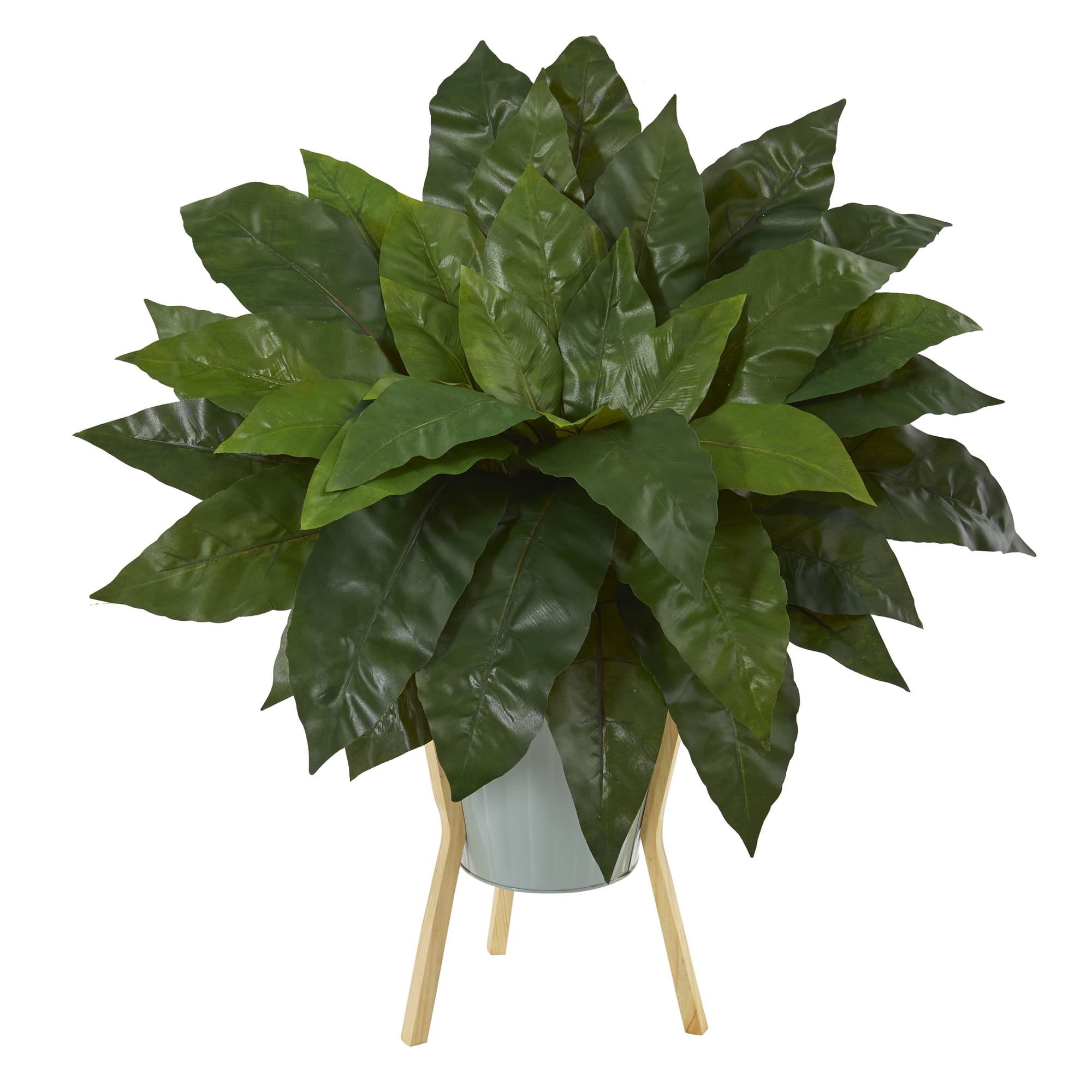 2ft. Bird&#x27;s Nest Fern in Green Planter with Stand