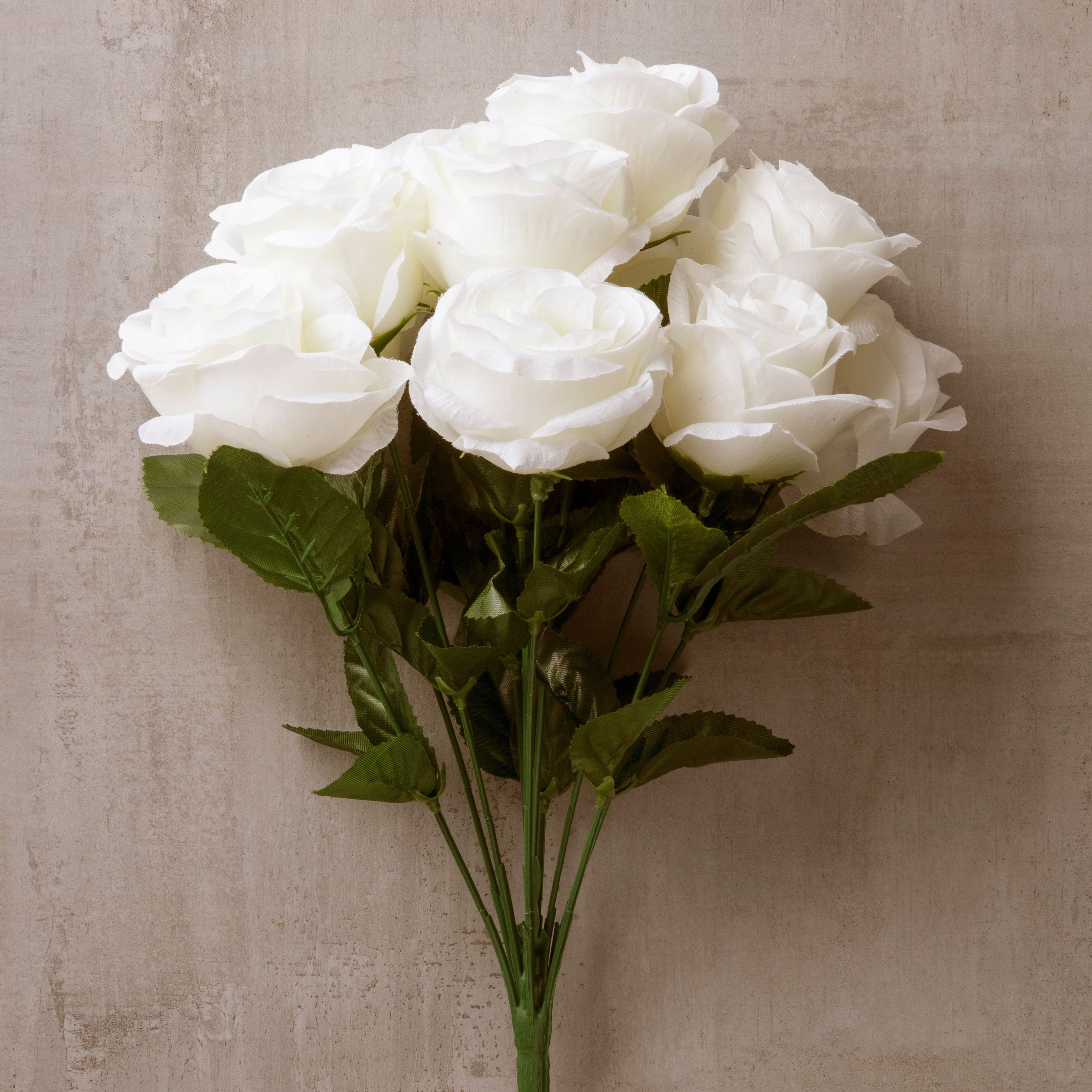 12 Pack: Cream Rose Bush by Ashland&#xAE;