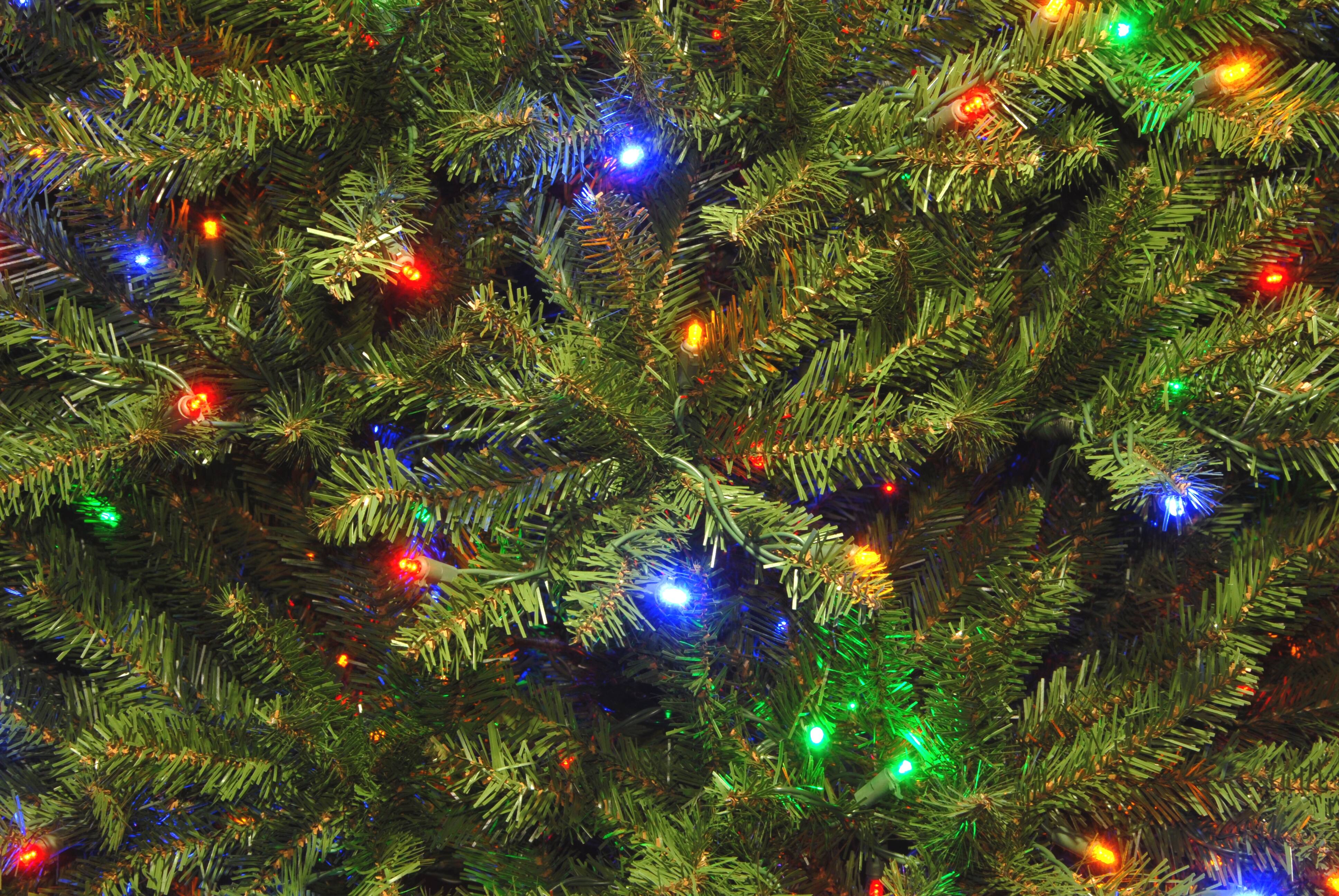 10 ft. Pre-Lit Dunhill&#xAE; Fir Hinged Full Artificial Christmas Tree, LV Dual Color LED Lights