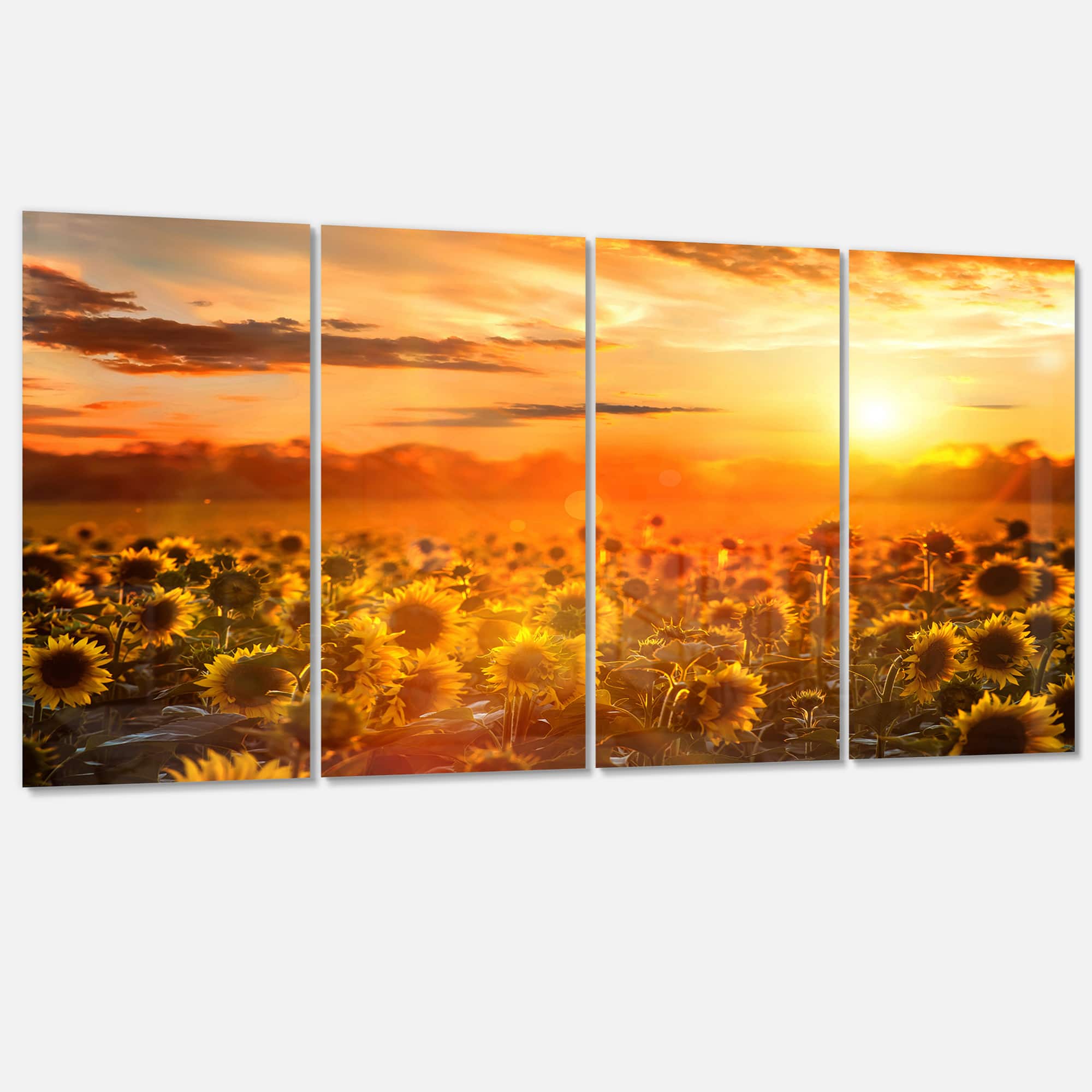 Designart - Yellow Sunset over Sunflowers - Floral Photography Art