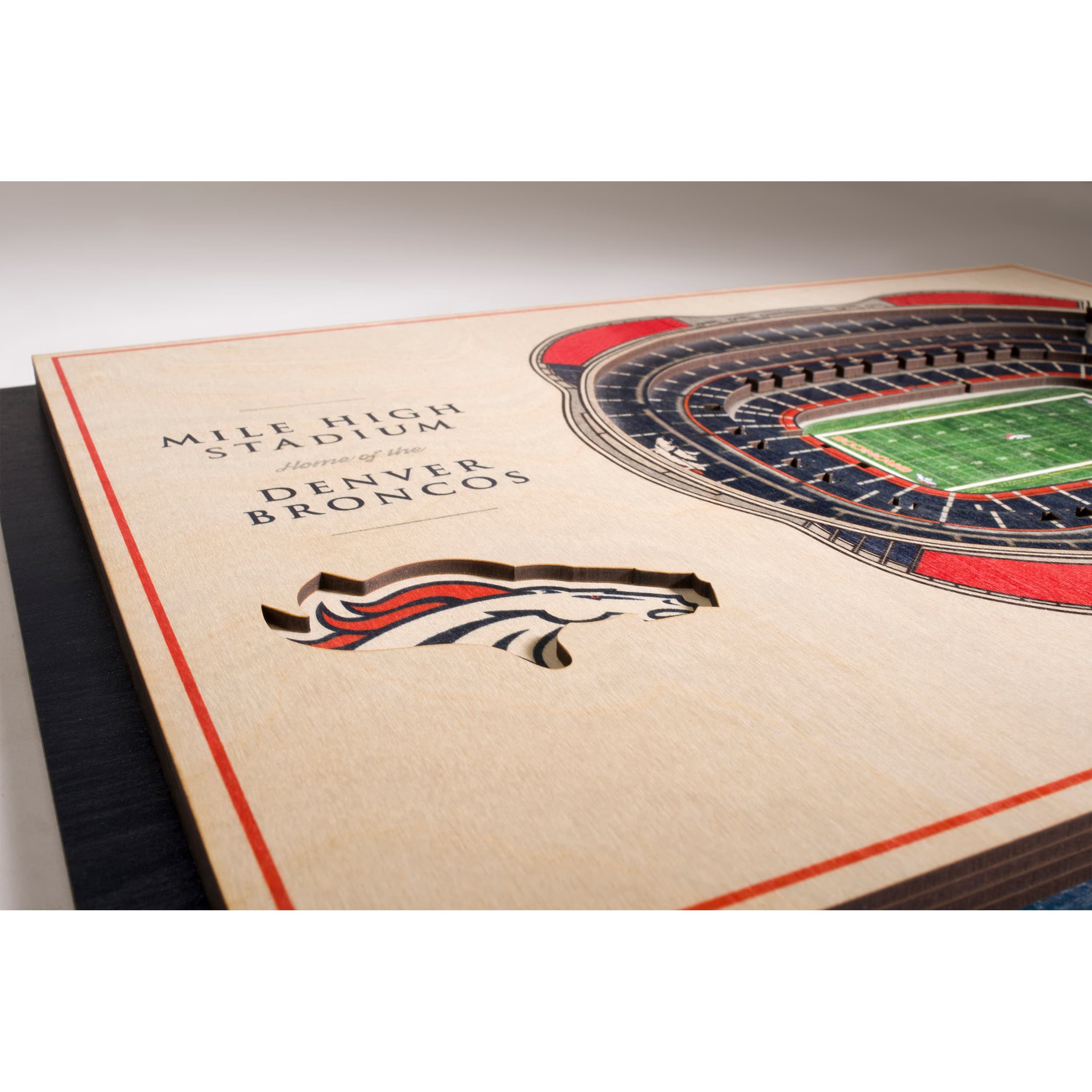 NFL 5-Layer StadiumView Wall Art