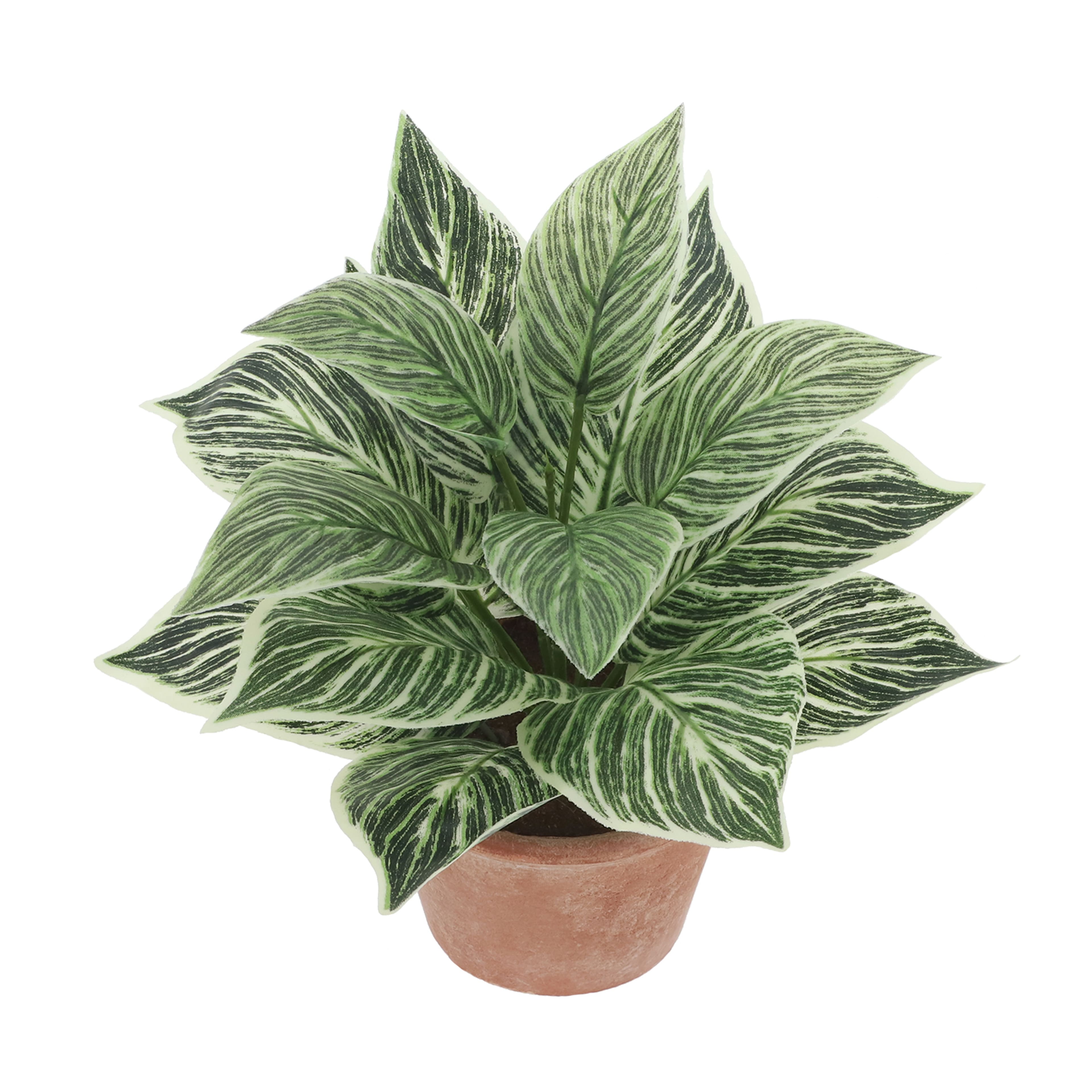 9&#x22; Potted Birkin by Ashland&#xAE;