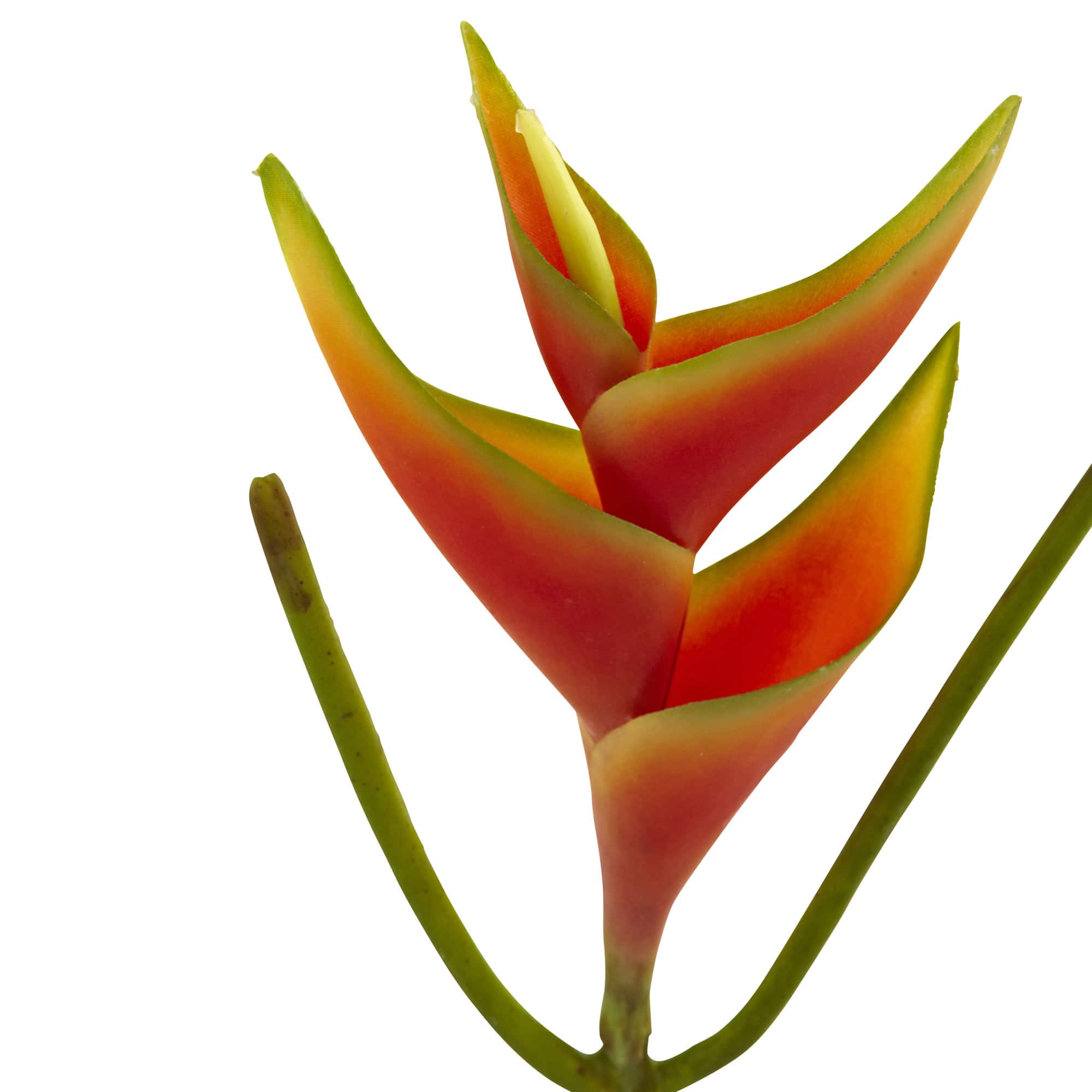 14" Mini Heliconia Artificial Flower (Set of 6)