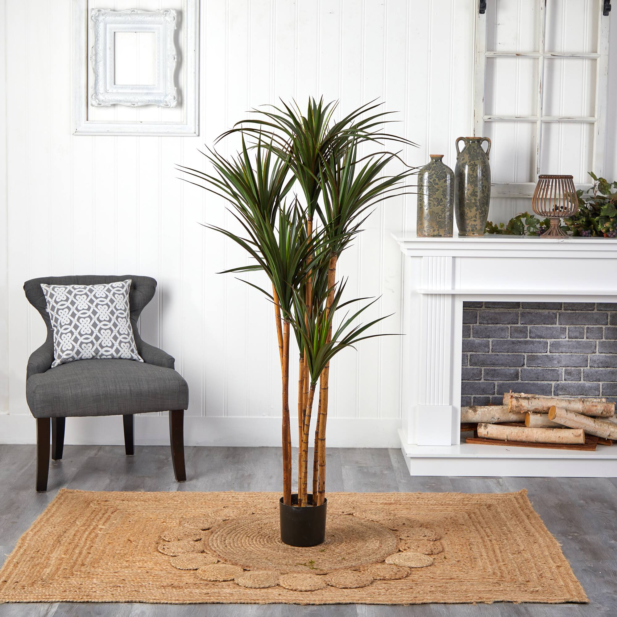 5.5ft. Giant Potted Yucca Tree