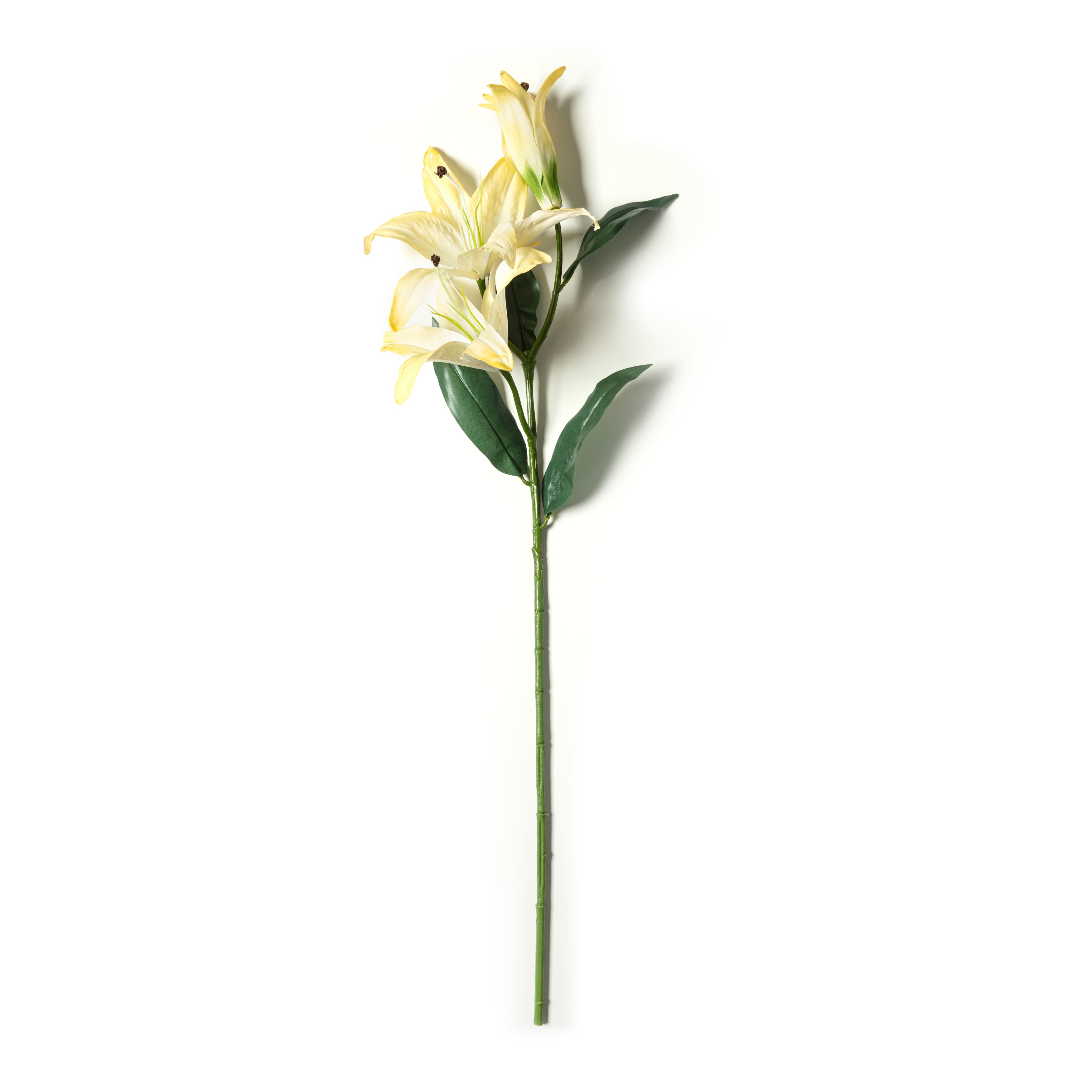 12 Pack: White Casablanca Lily Stem by Ashland&#xAE;
