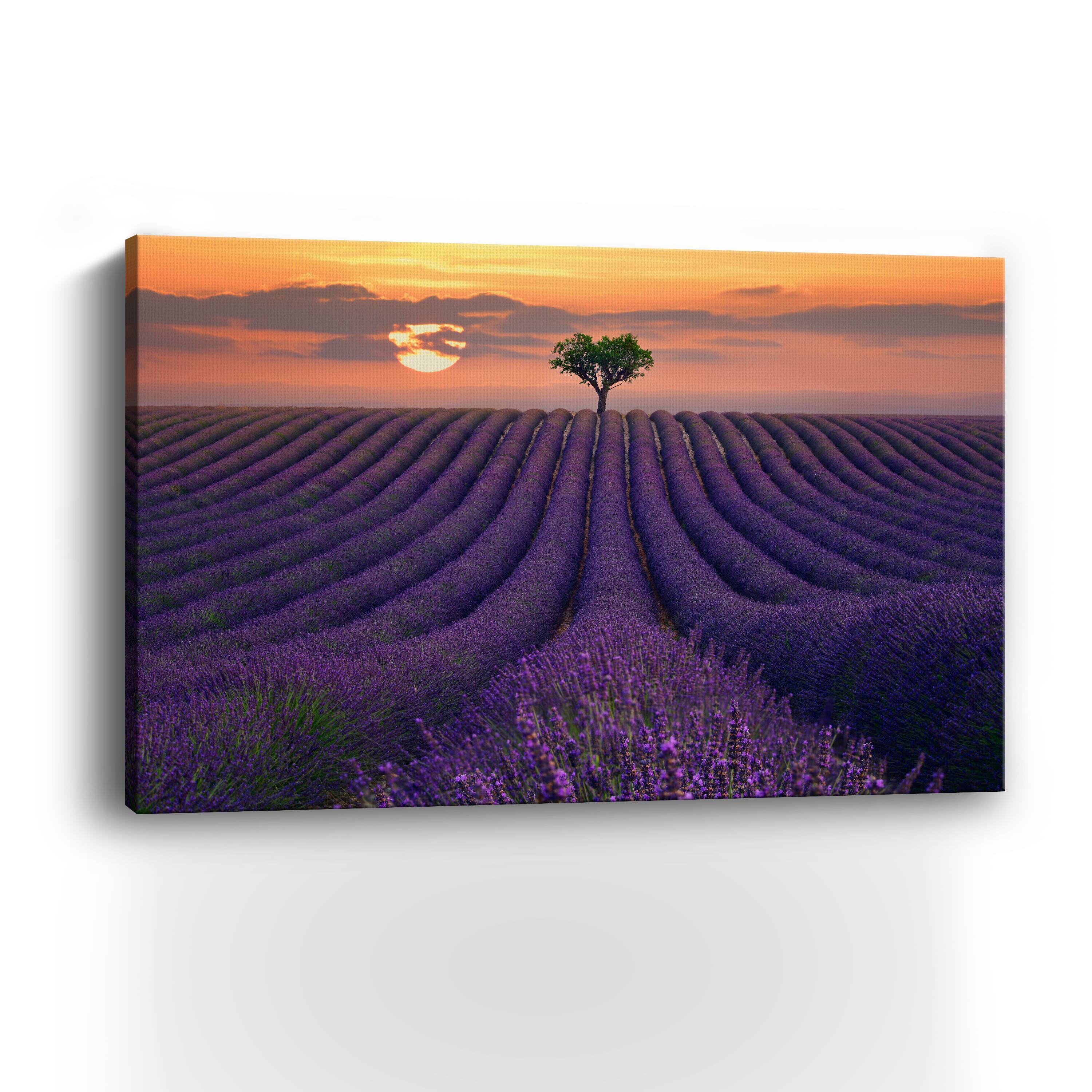 For the Love of Lavender Canvas Giclee