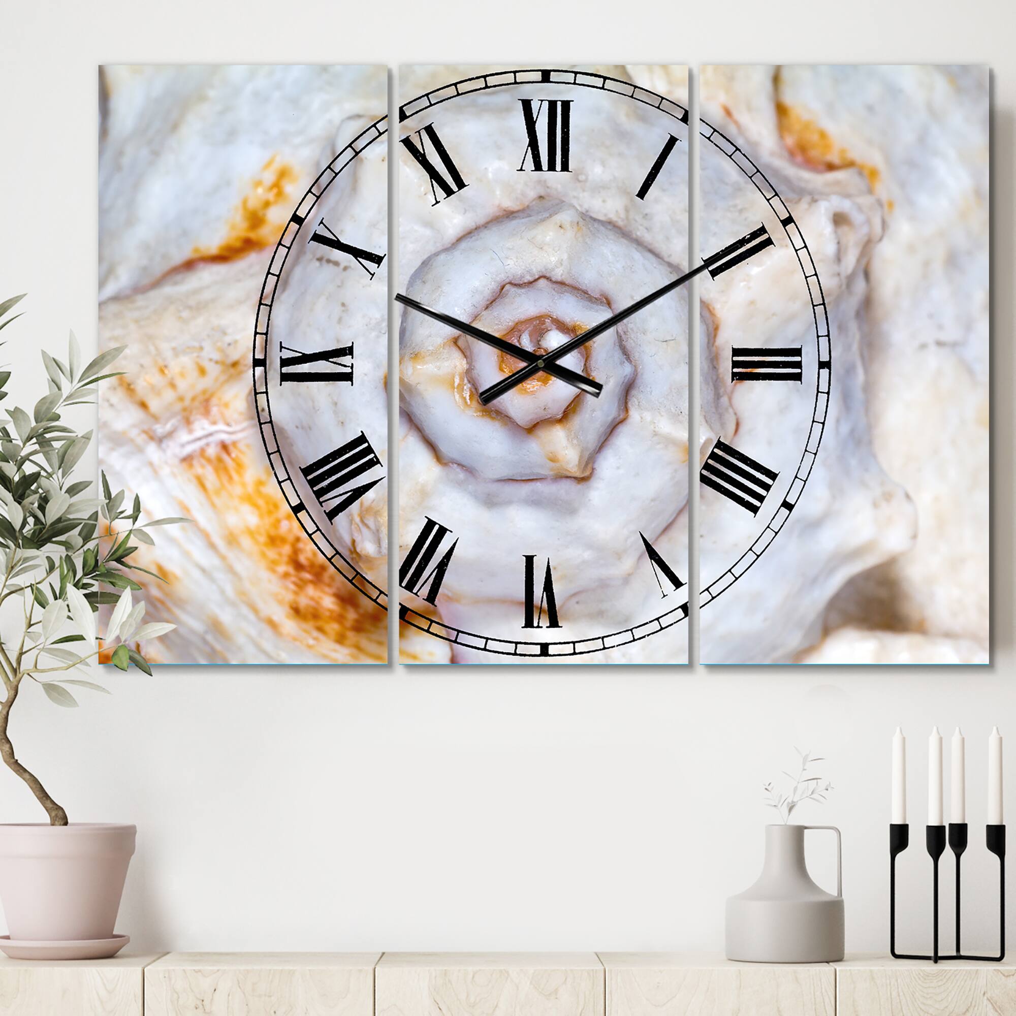 Designart 'Great Skeleton Of Sea Shell Beach Style Multipanel Wall Clock