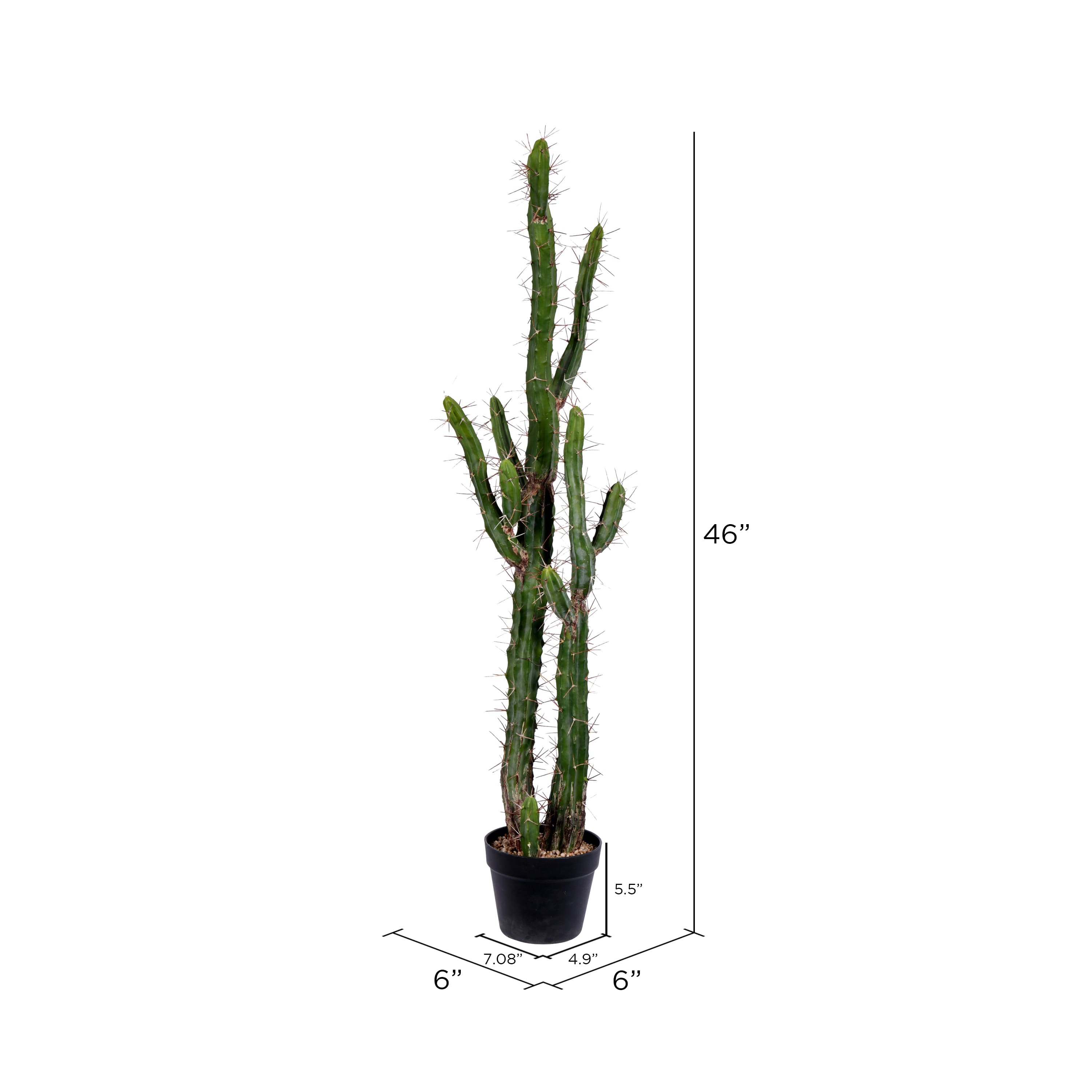 4ft. Potted Green Cactus