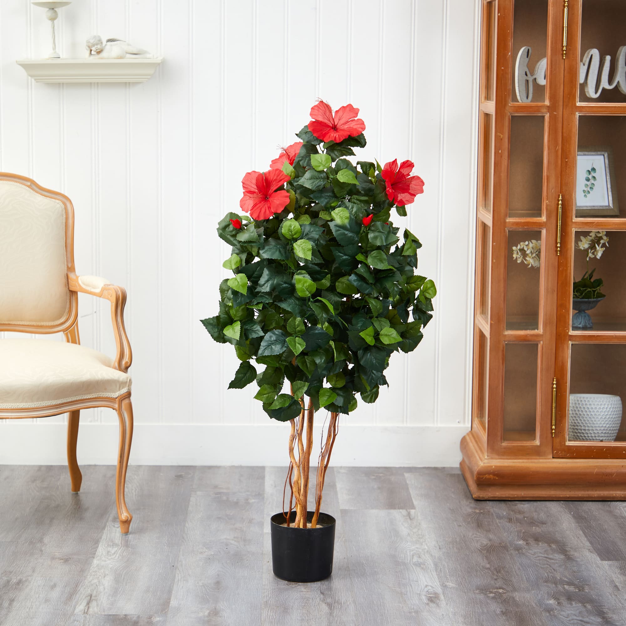 4ft. Potted Red &#x26; Green Hibiscus Tree