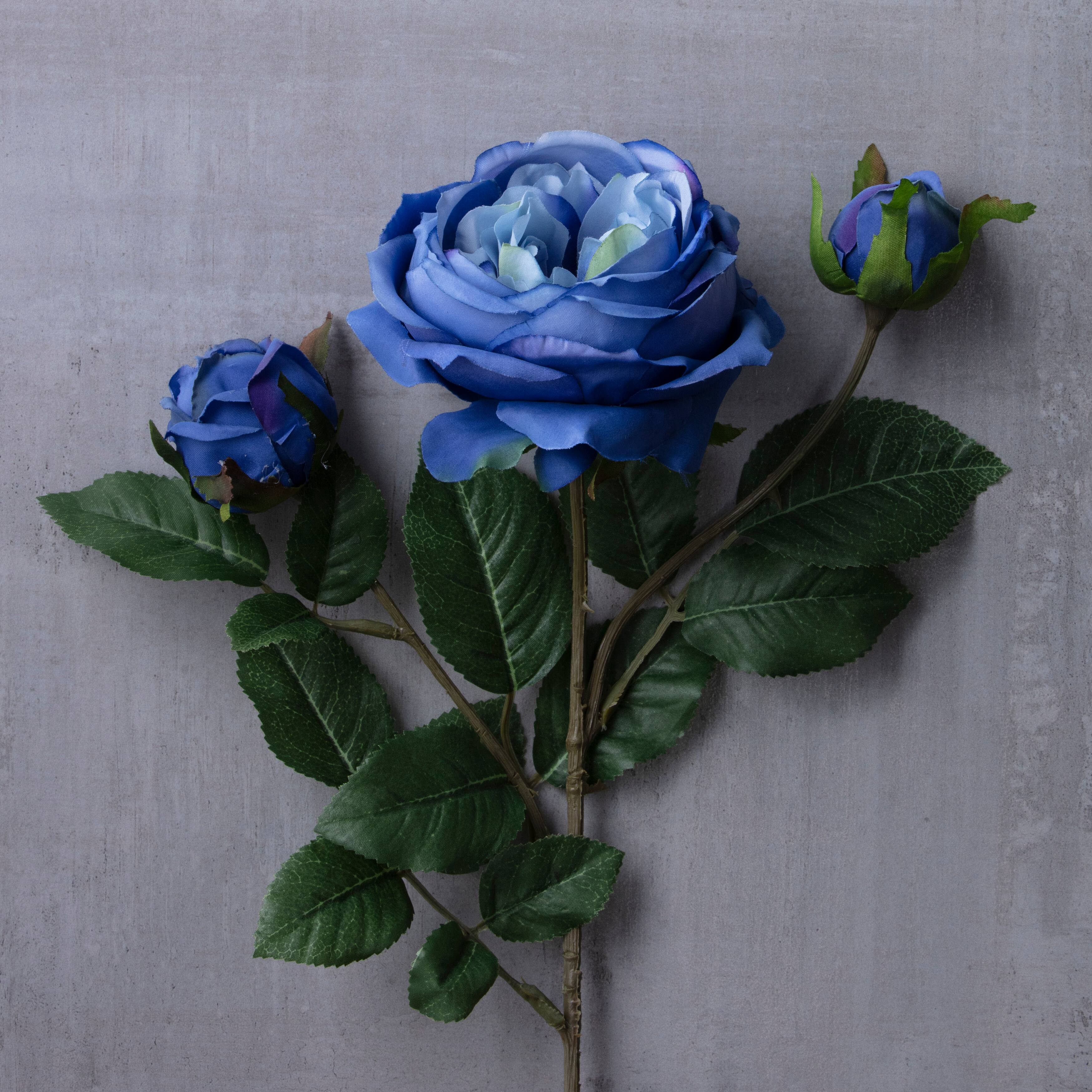 12 Pack: Blue English Rose Stem by Ashland&#xAE;