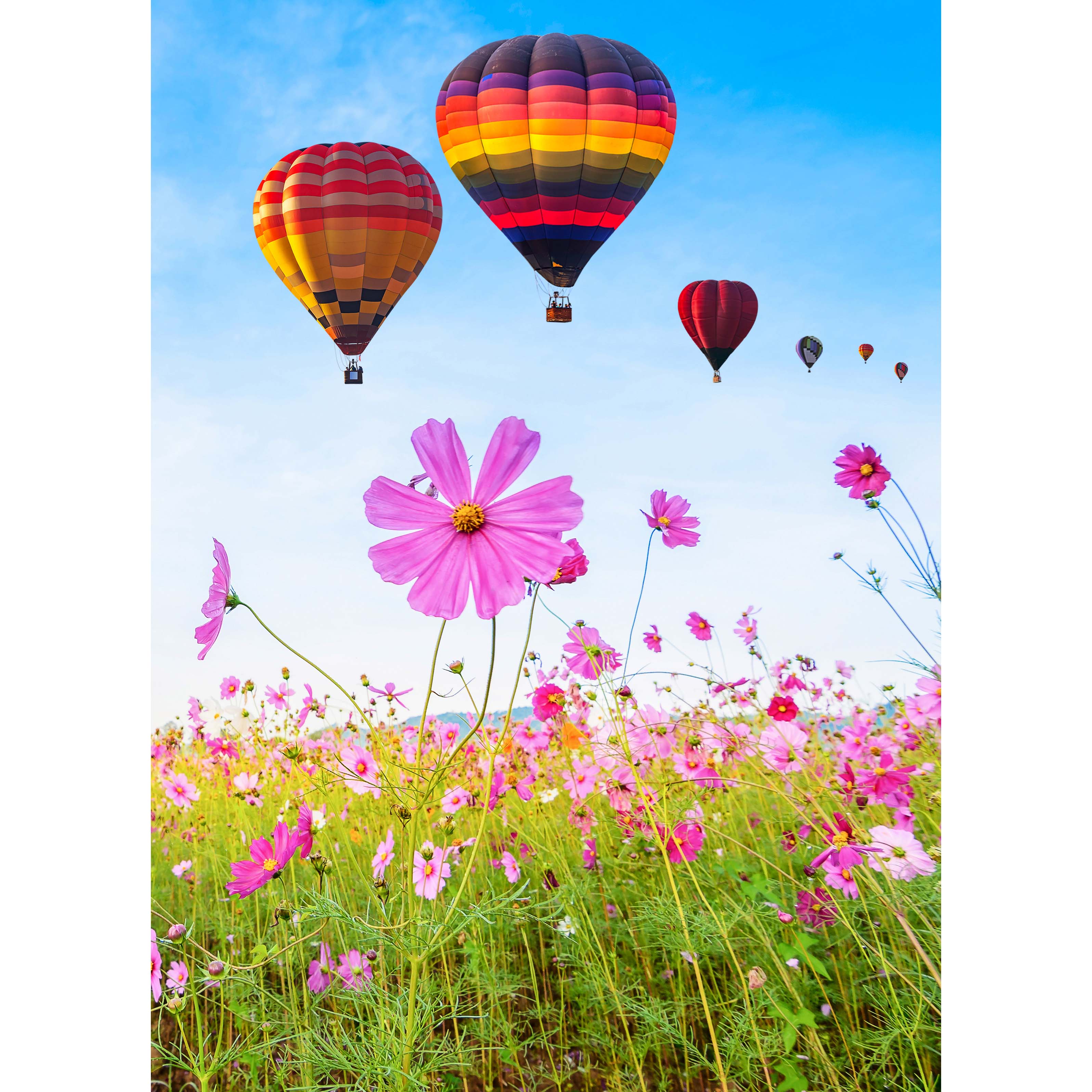 Sparkly Selections Hot Air Balloons Over Flowers Diamond Painting Kit,  Round Diamonds | Michaels, image size:3192x3192