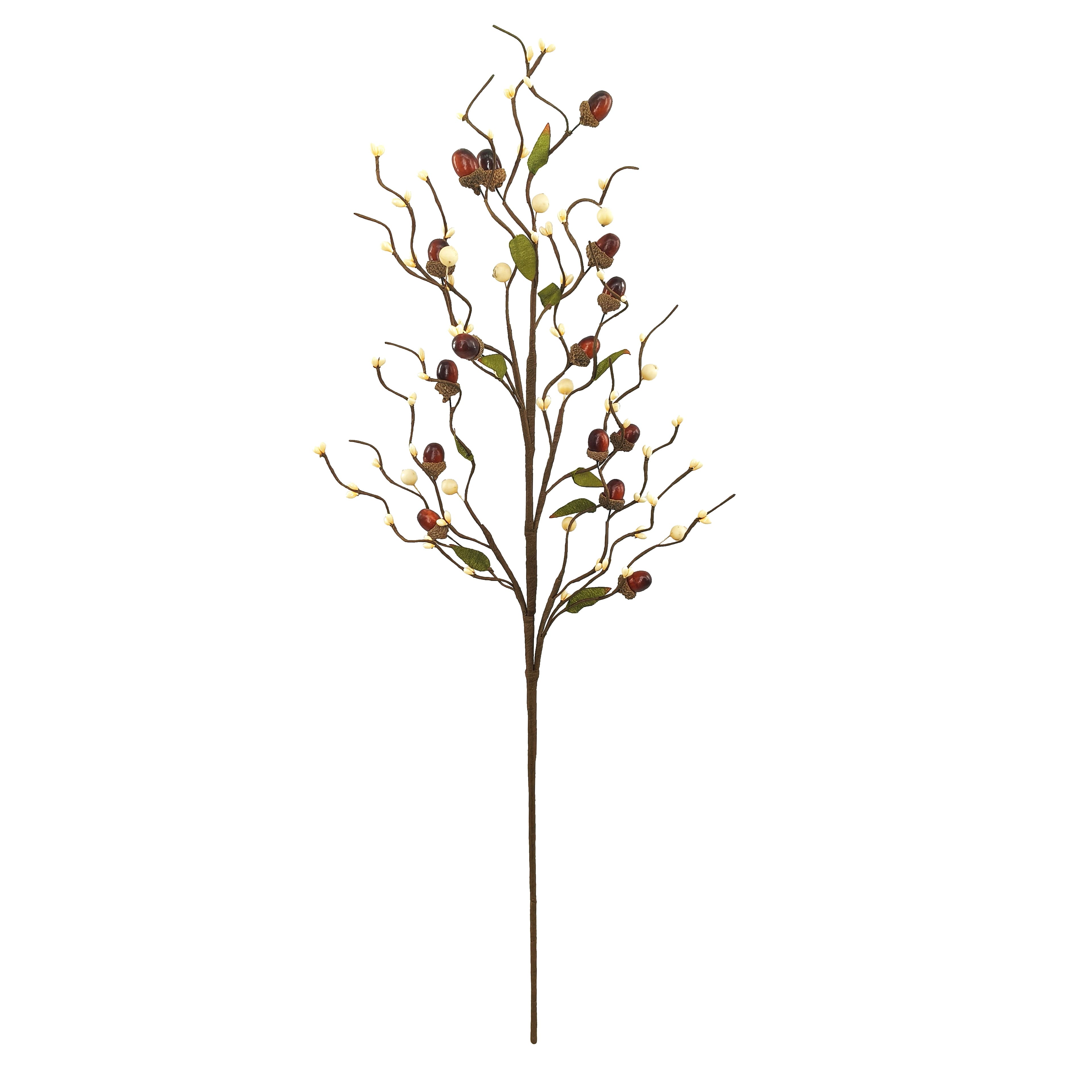 32&#x22; Brown Acorn Branch by Ashland&#xAE;