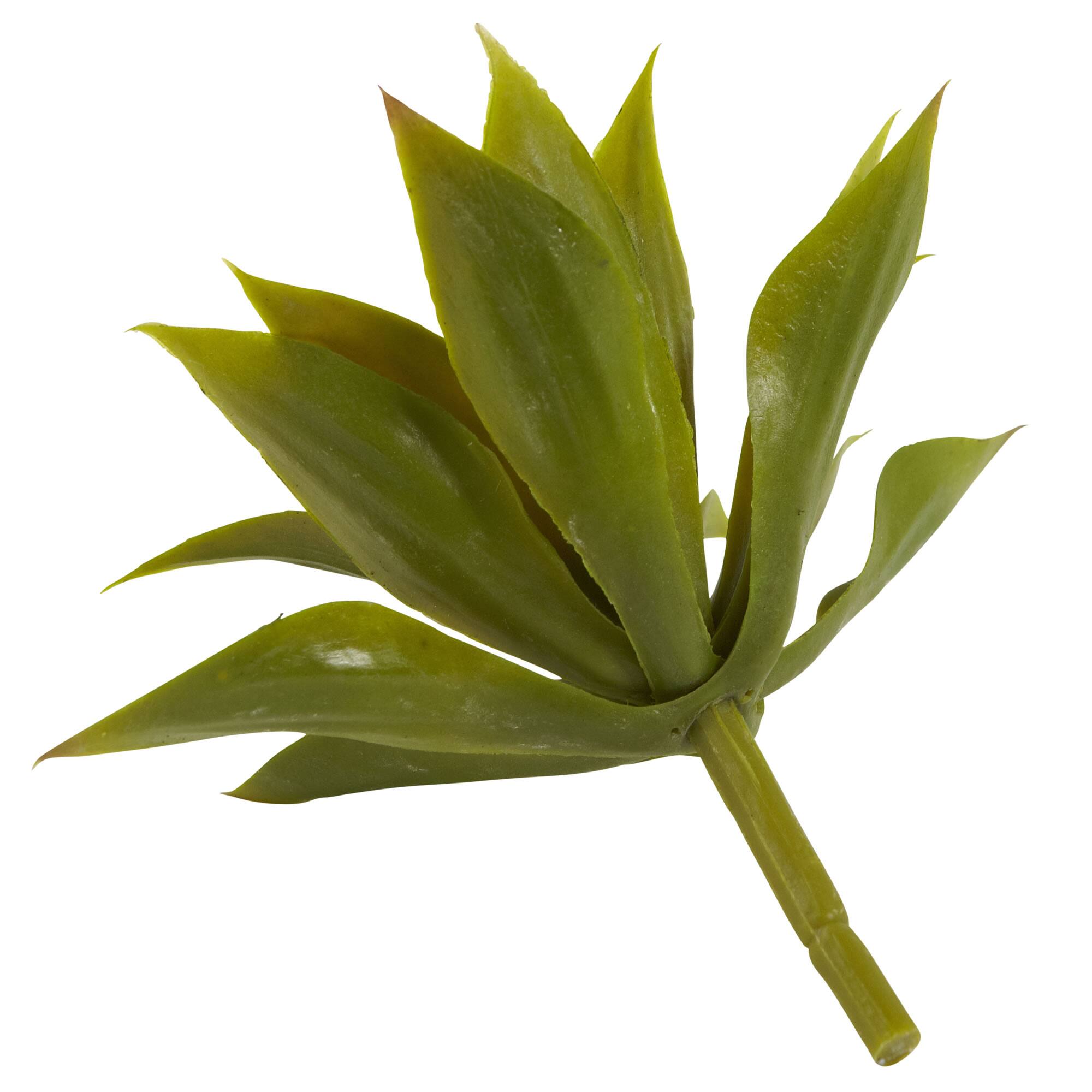 Agave Succulent Pick, 12ct.