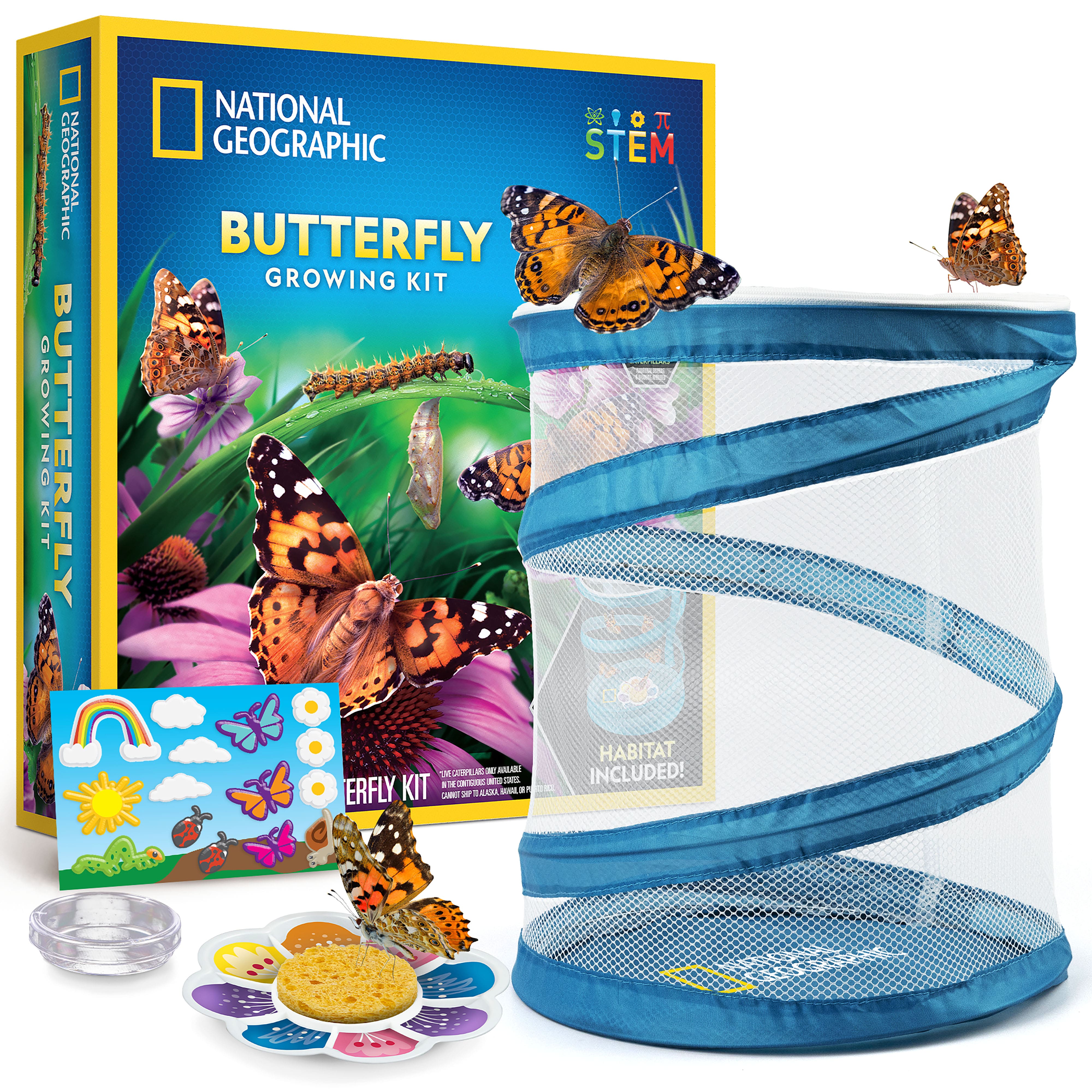 National Geographic&#x2122; Butterfly Growing Kit