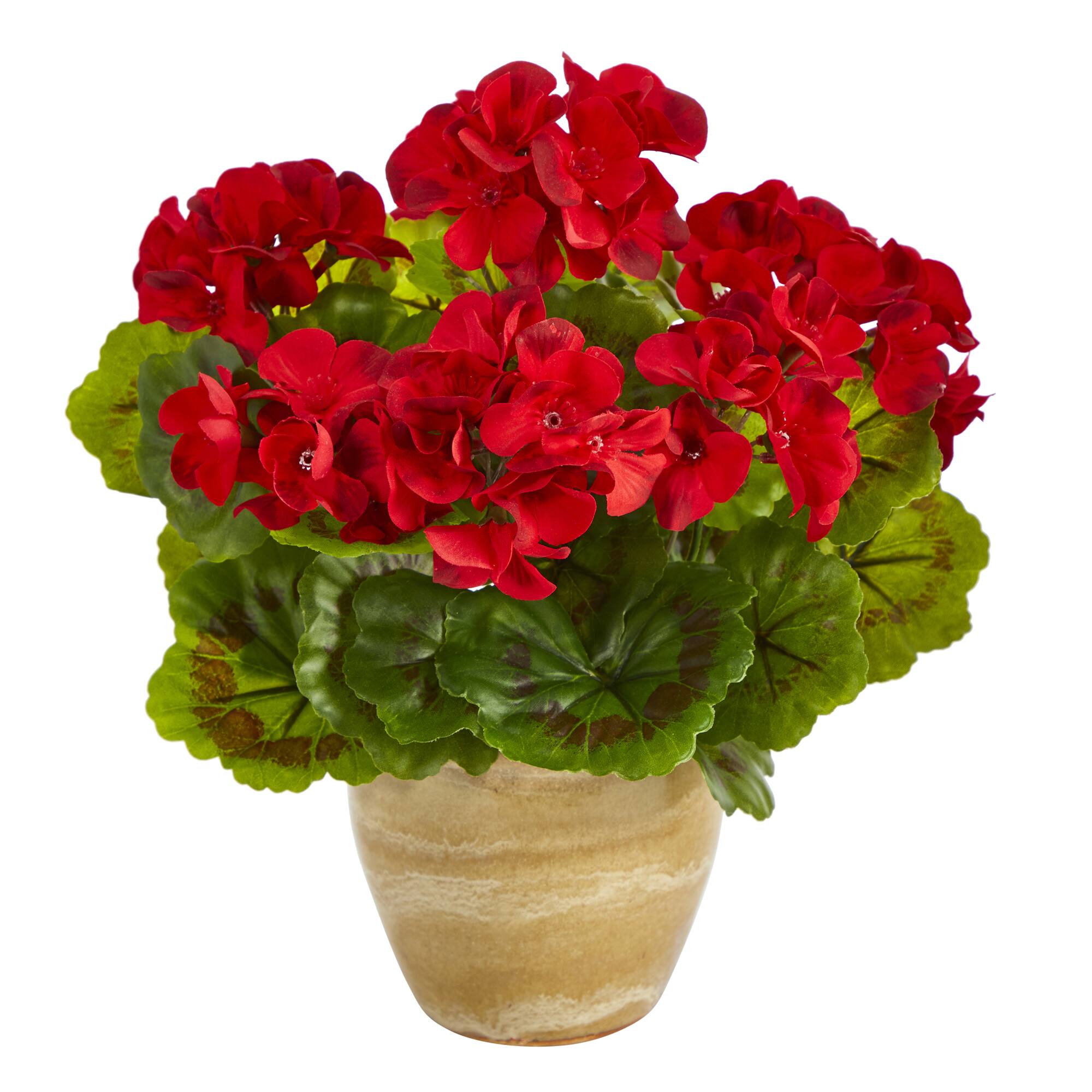 11'' Red Geranium in Ceramic Planter Michaels