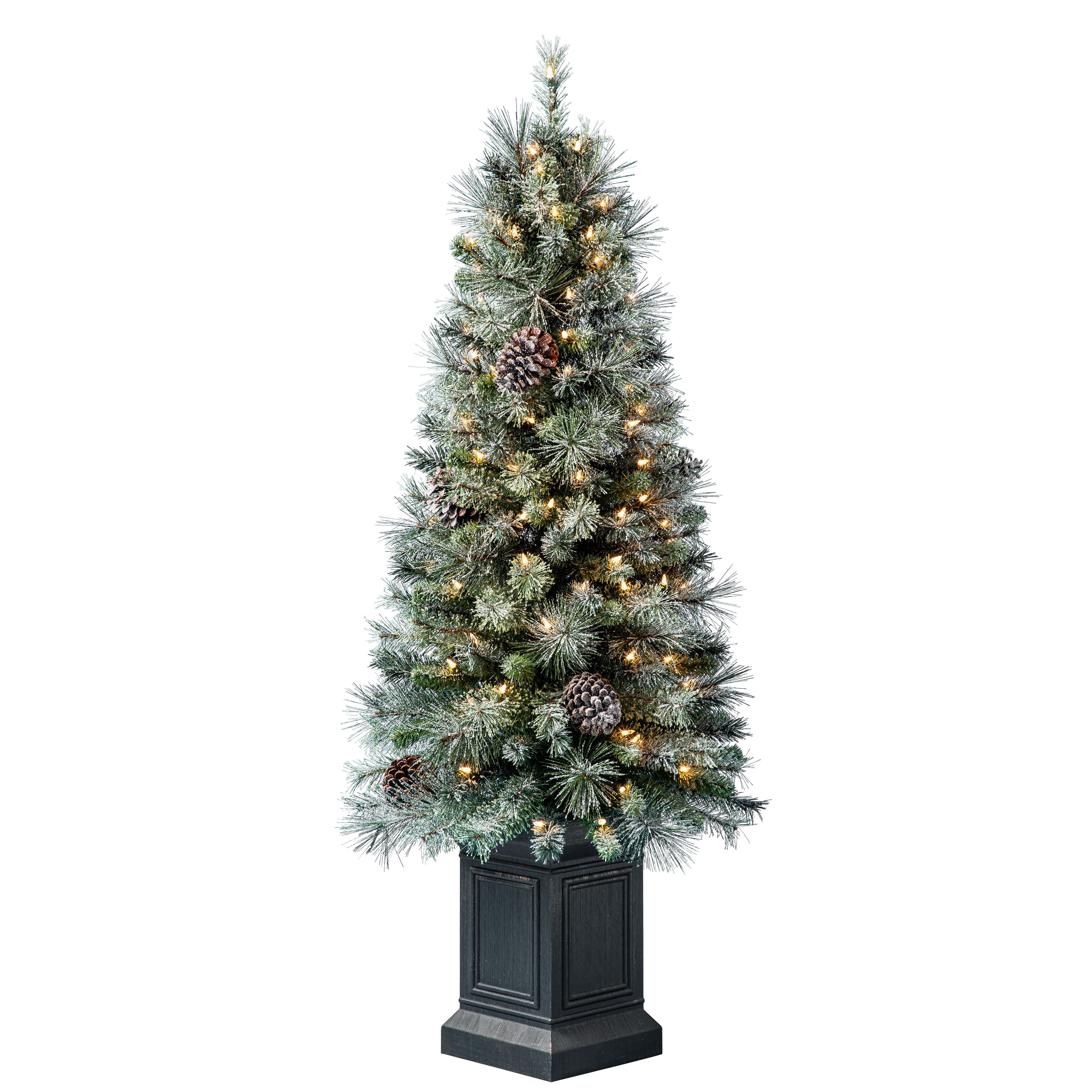 4.5ft. Pre-Lit Baywood Artificial Potted Christmas Tree, Clear Lights by Ashland&#xAE;