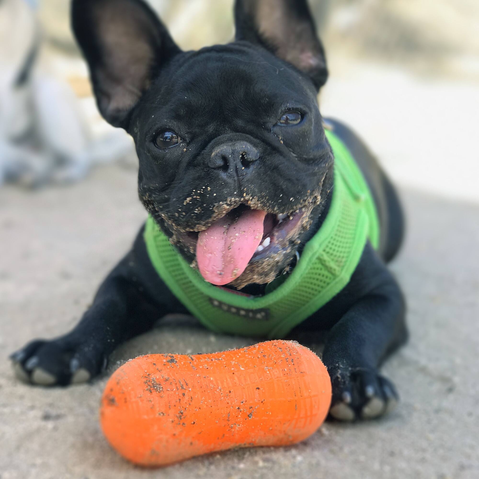 Ruff Dawg™ Weenut Rubber Indestructible Retrieving Dog Toy