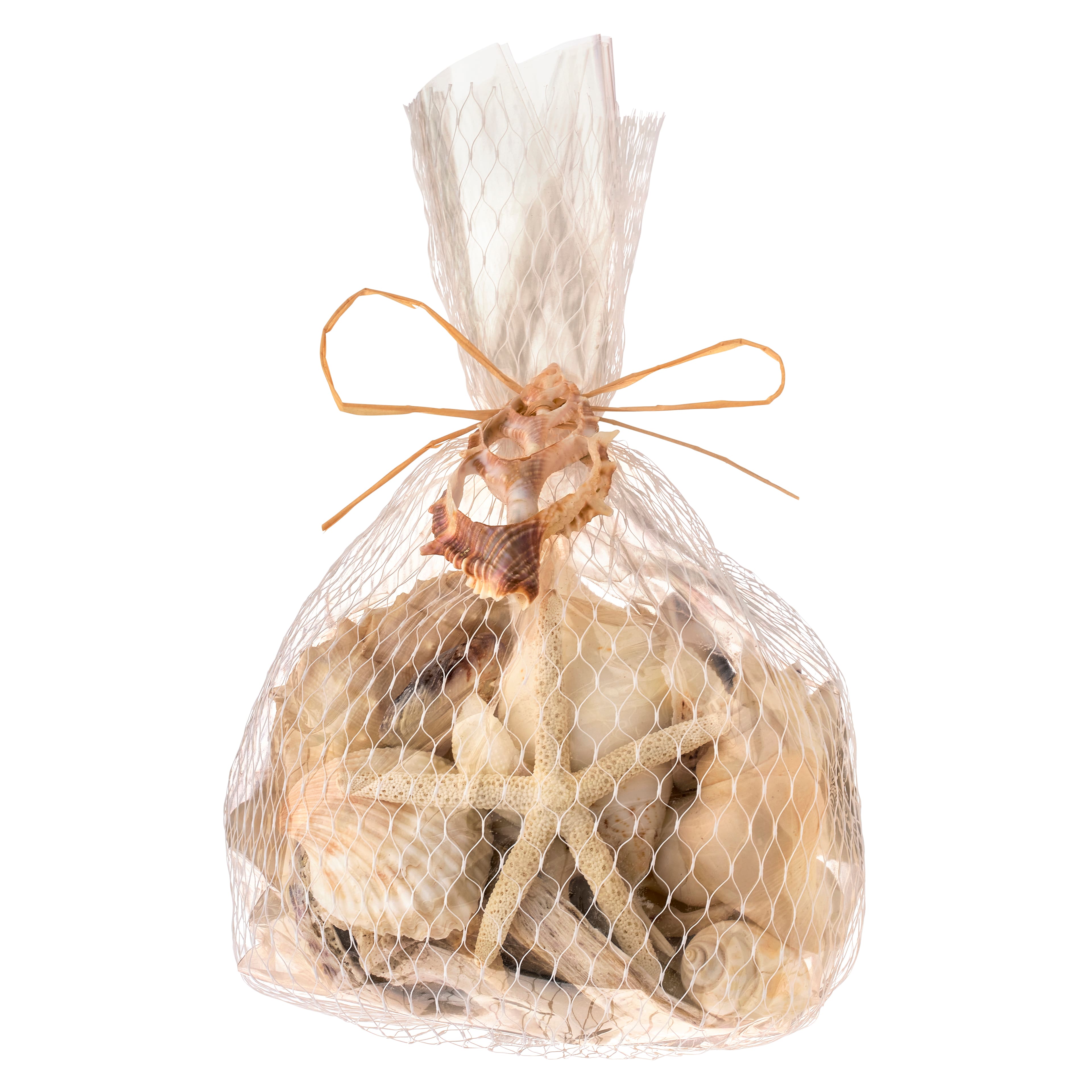 U.S. Shell Light Shell Mix with Starfish Gift Pack