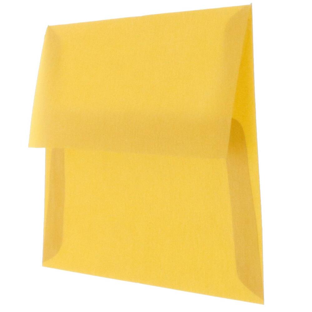 JAM Paper A1 Translucent Vellum Invitation Envelopes, 25ct.