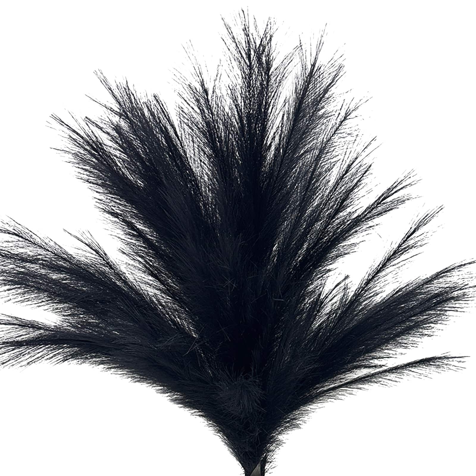 4ft. Black Pampas Tree by Ashland&#xAE;