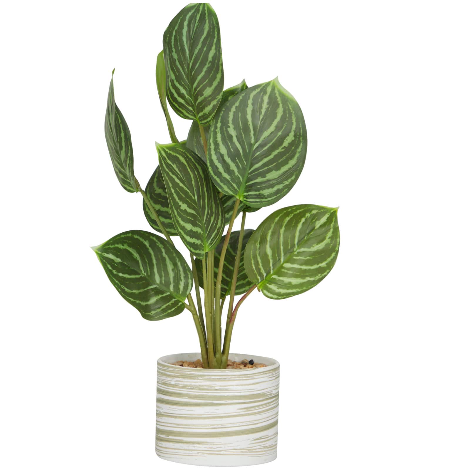 The Novogratz 16&#x22; Green Faux Foliage Calathea Artificial Plant in Porcelain Pot