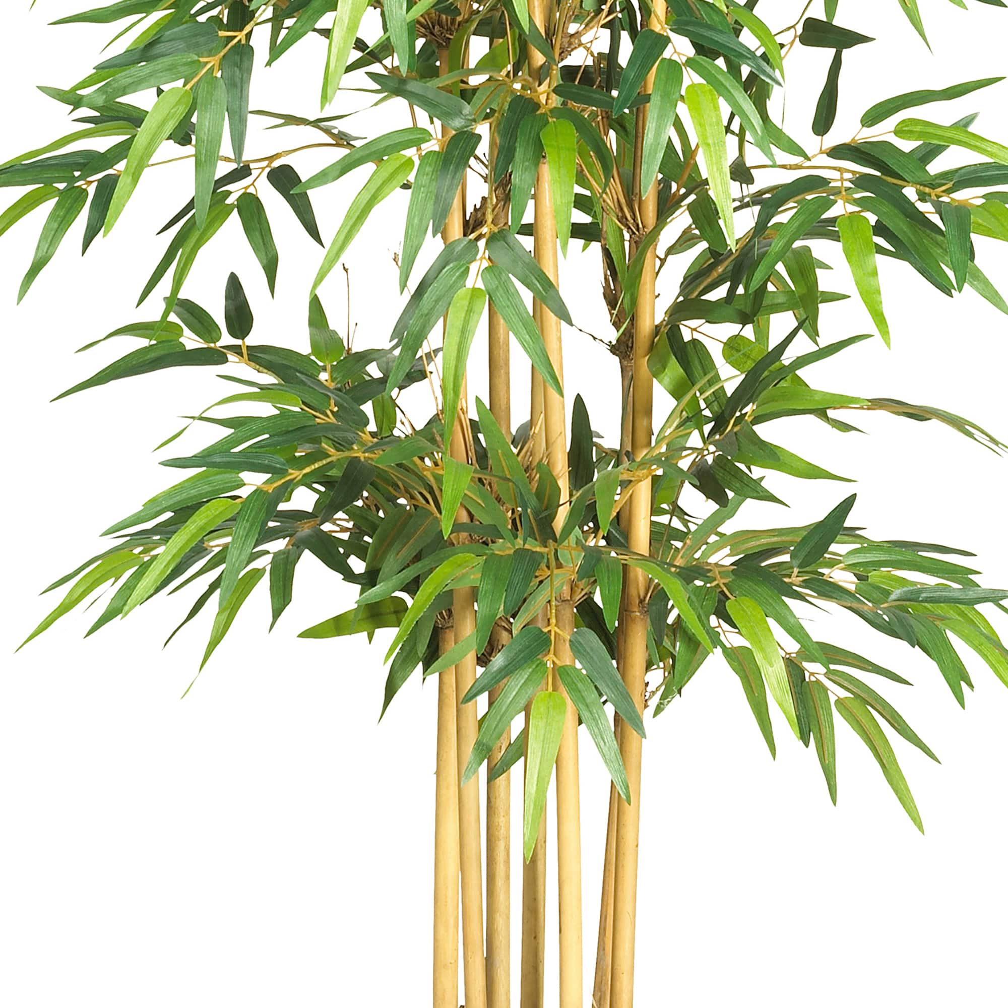 5.3ft. Potted Bamboo Tree