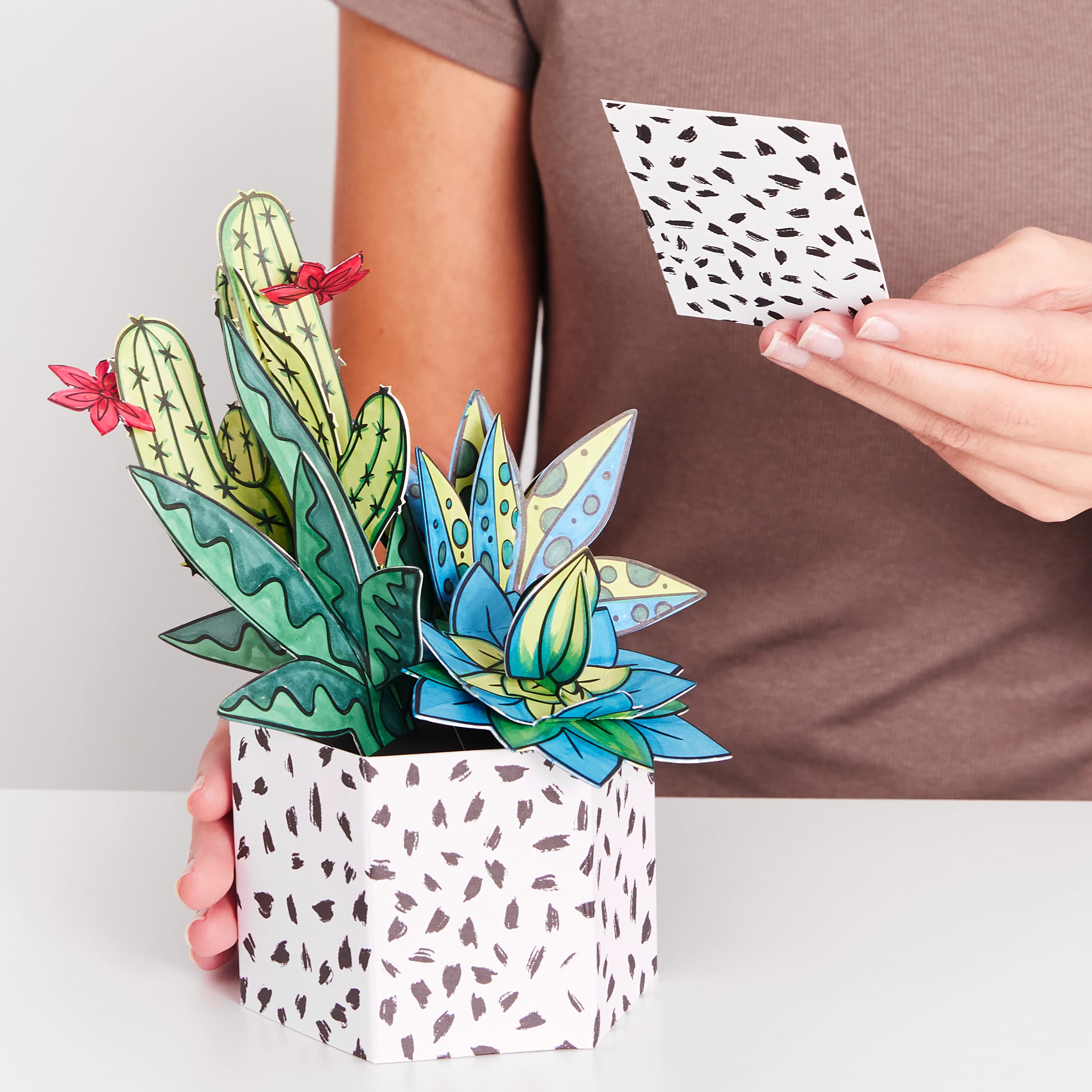 Faber-Castell® Succulents Pop Up Colouring Bouquet