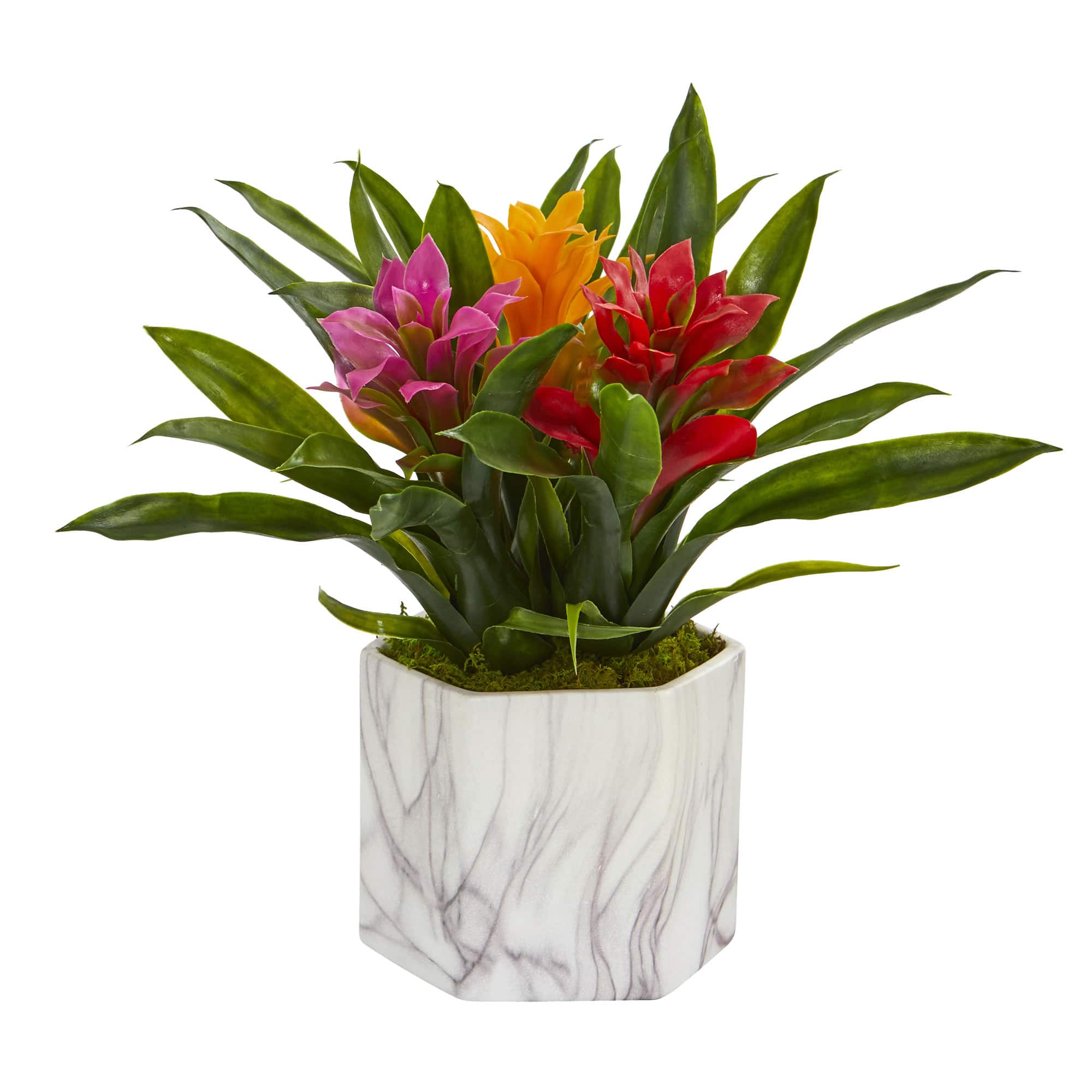 11&#x27;&#x27; Bromeliad Plant in Marble Finished Vase