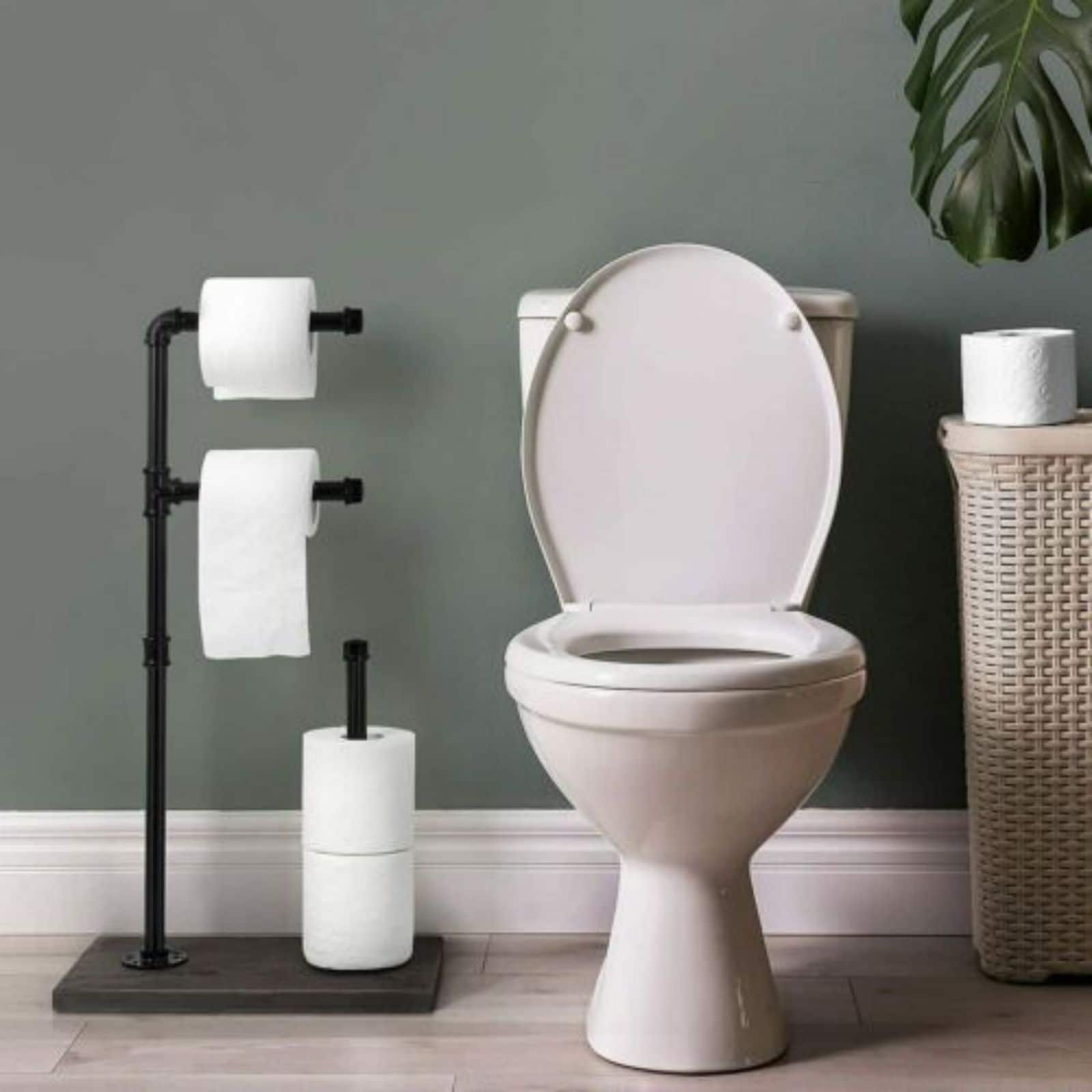 Black Commercial Toilet Paper Holder with Shelf