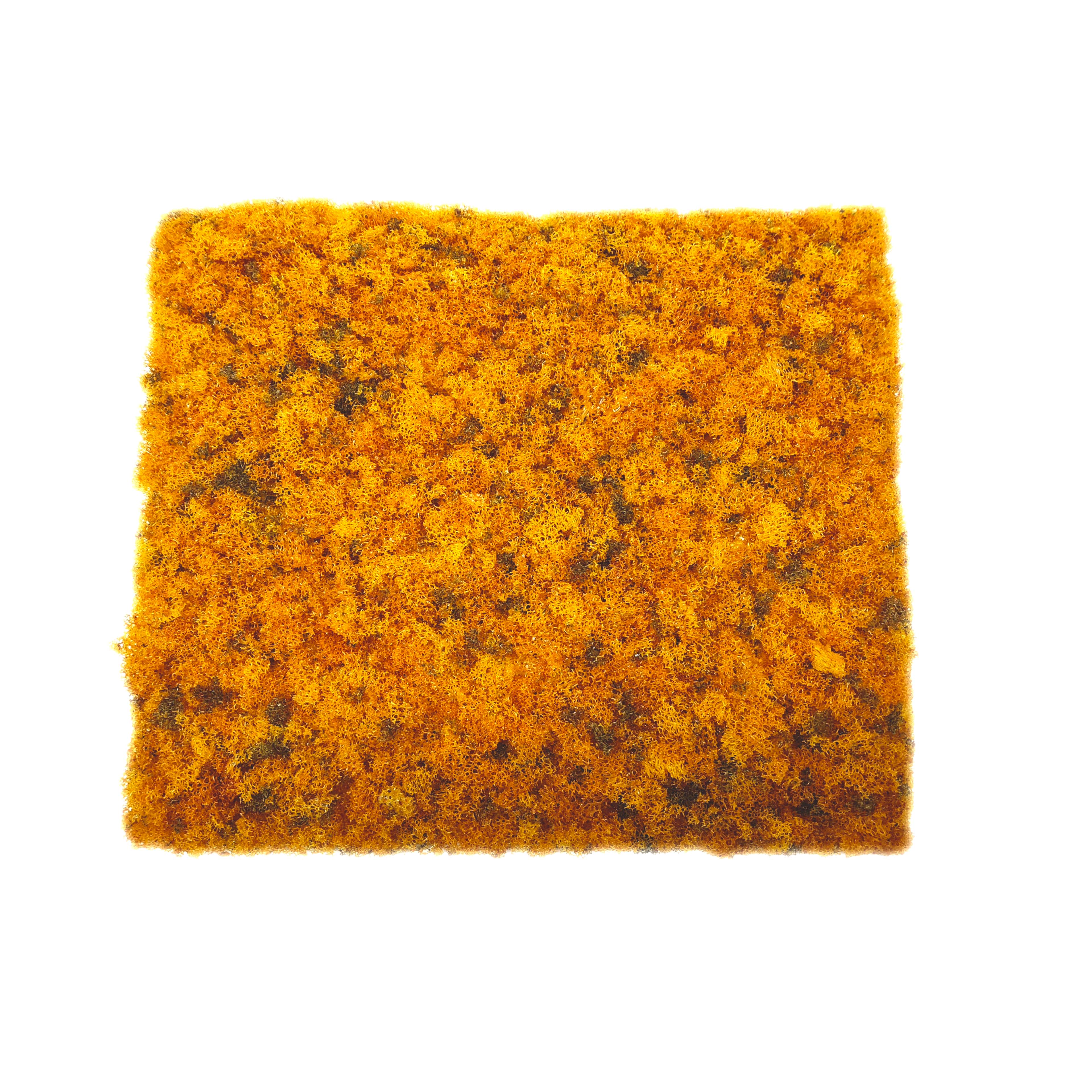 Miniature Autumn Structure Mat by Make Market&#xAE;